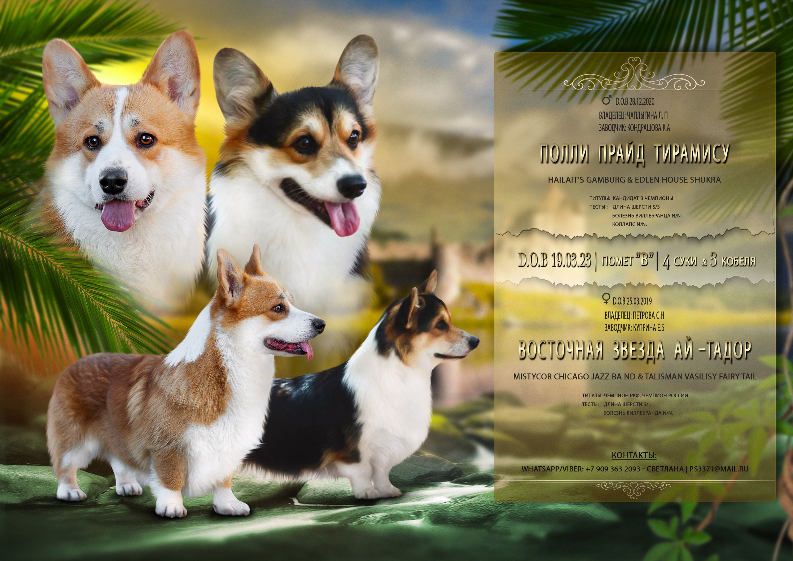 Animal presentation. Фотограф