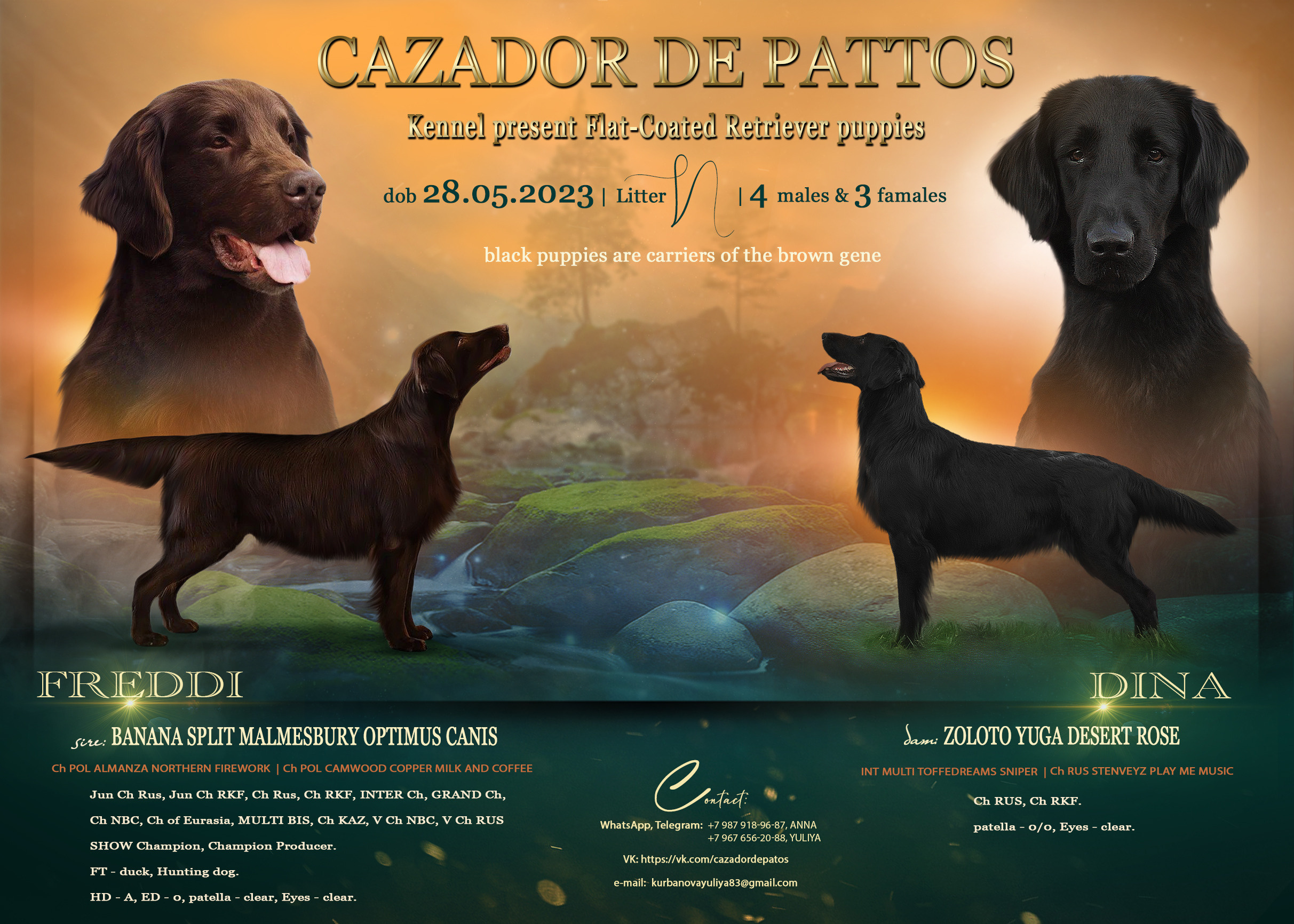 Animal presentation. Фотограф