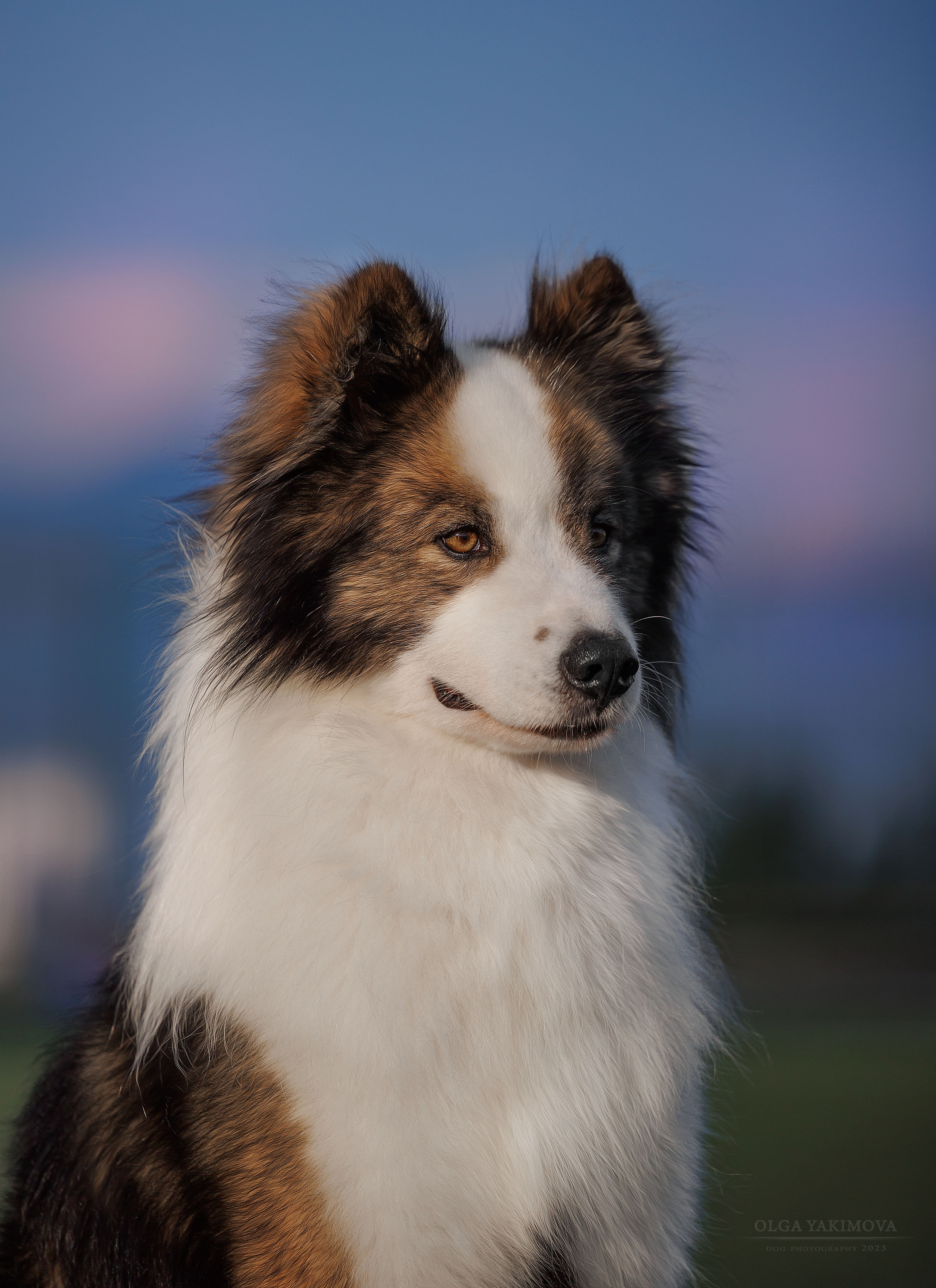 Фотограф на выставке, фотограф анималист