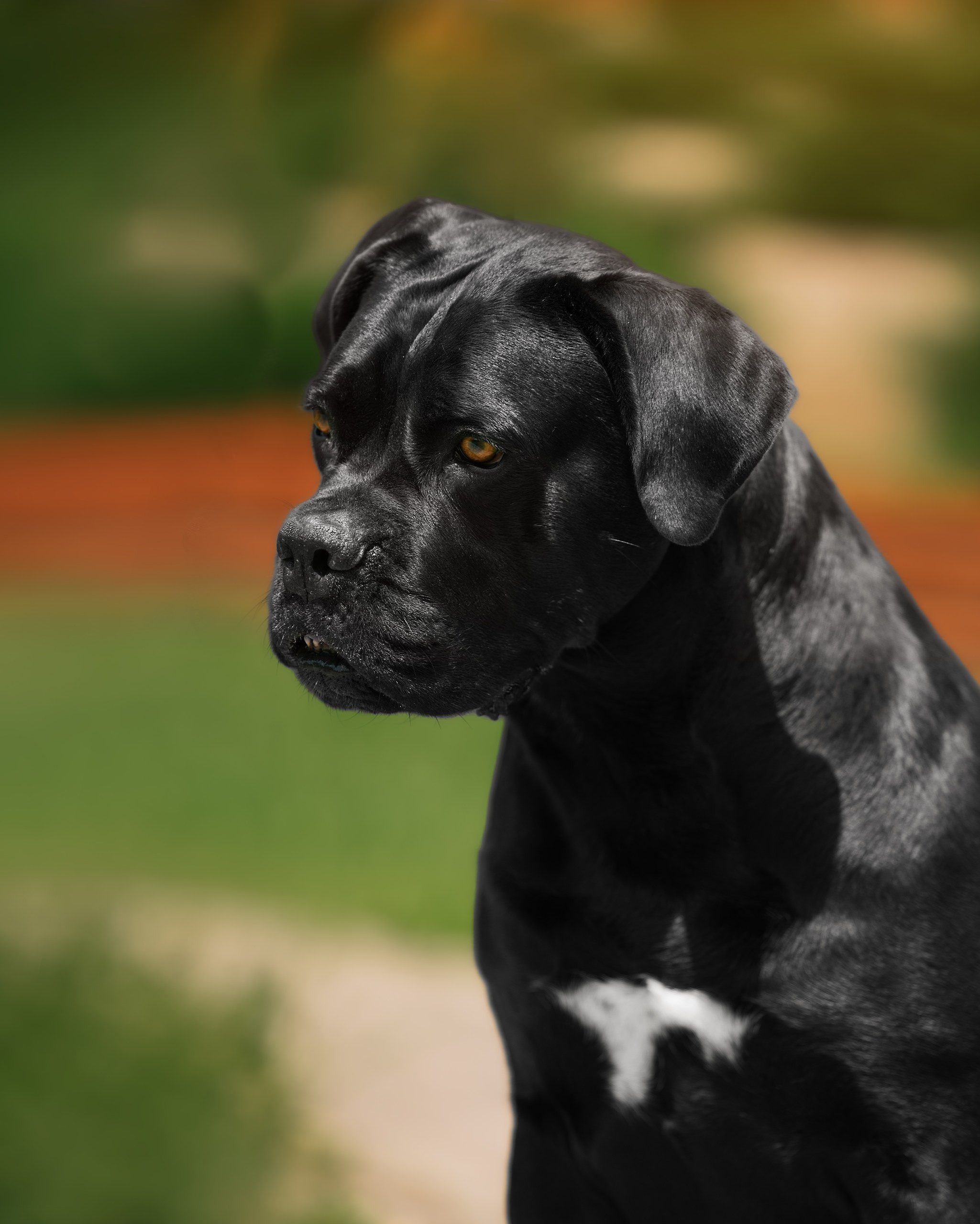 Фотограф на выставке, фотограф анималист