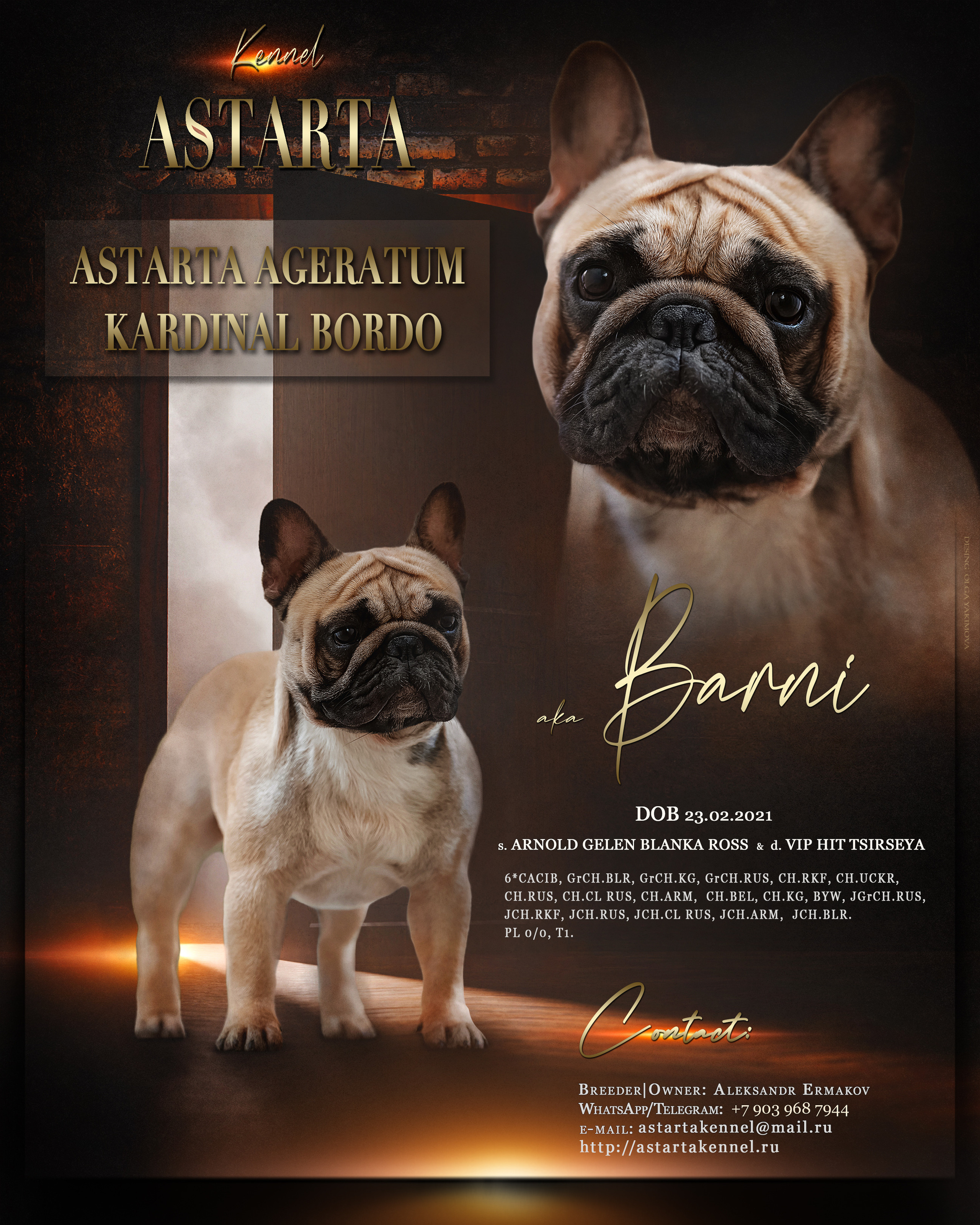 Animal presentation. Фотограф