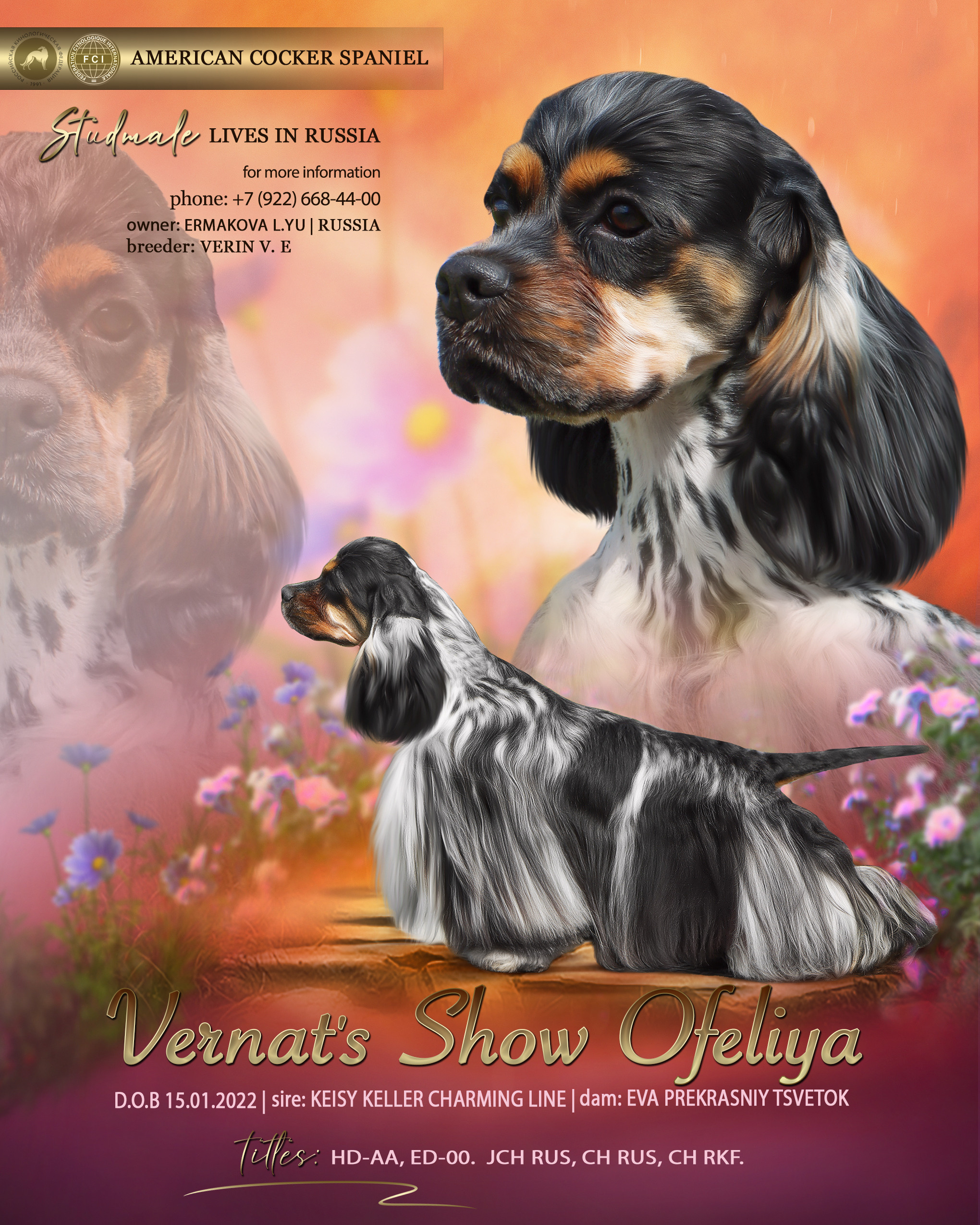 Animal presentation. Фотограф