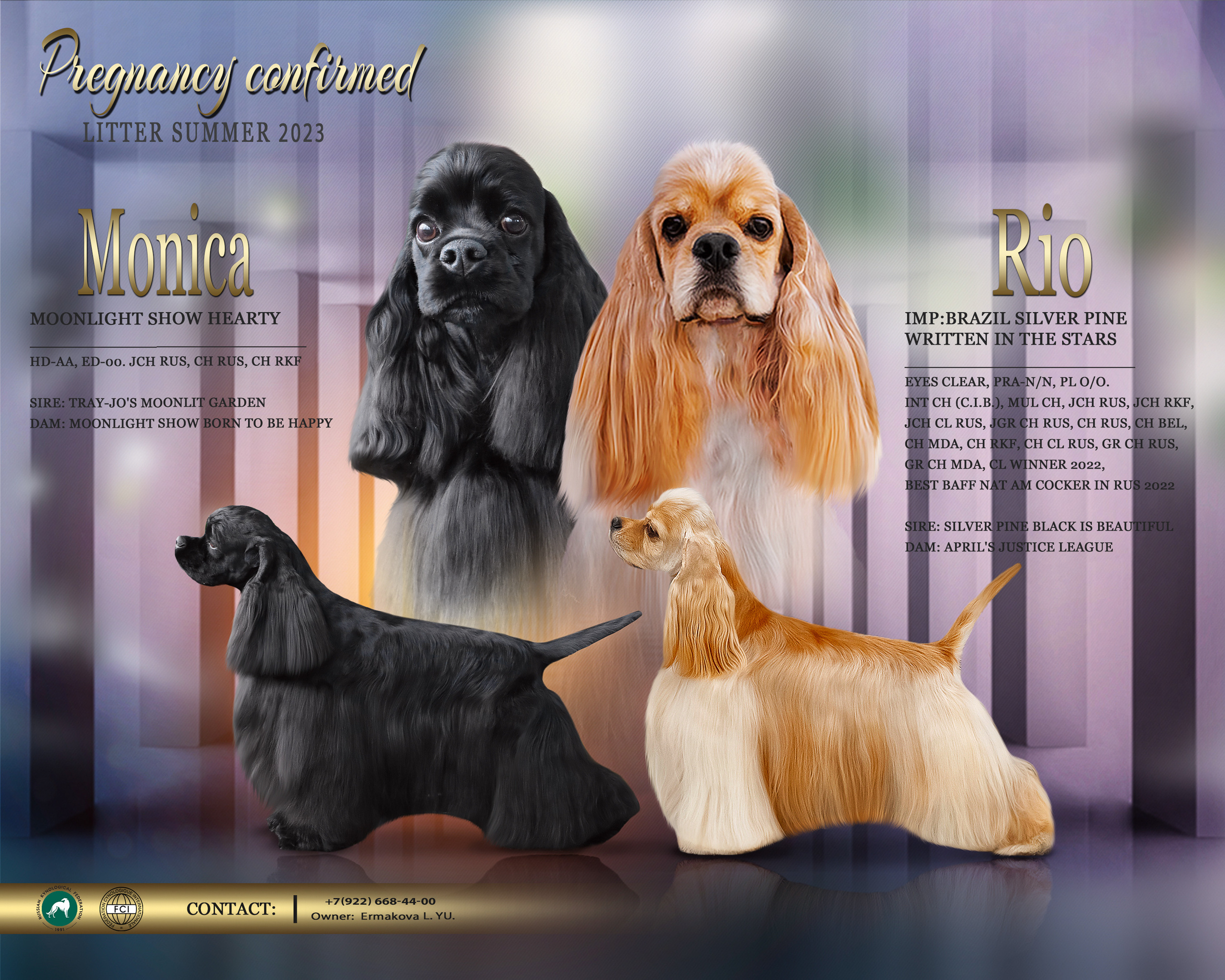 Animal presentation. Фотограф