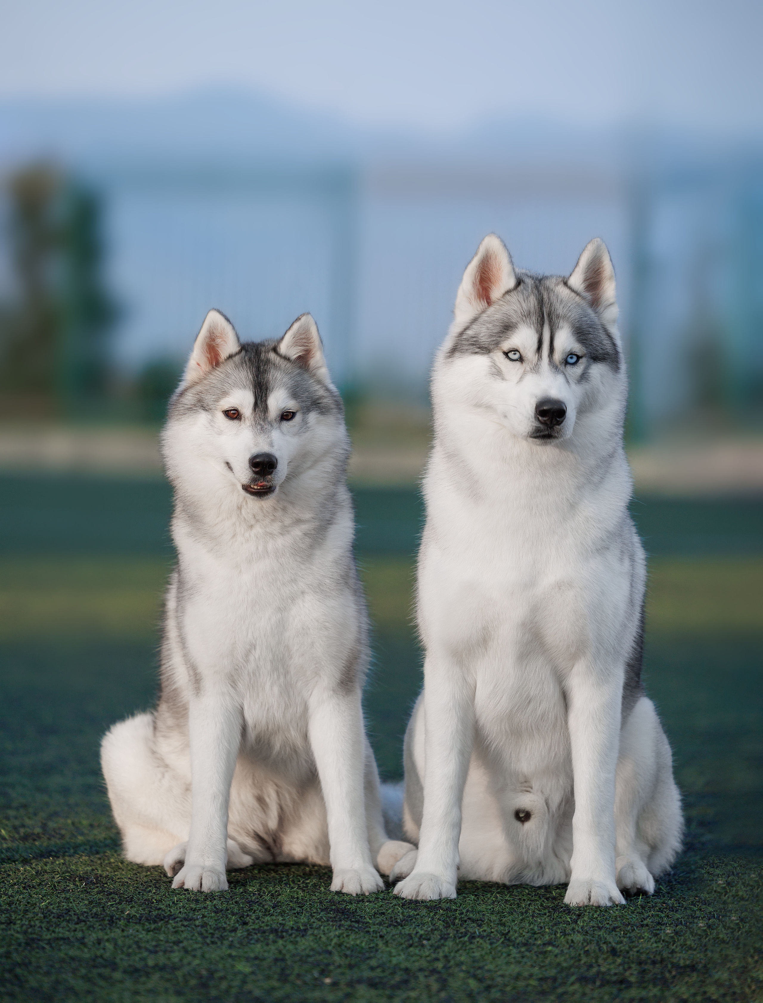 Фотограф на выставке, фотограф анималист