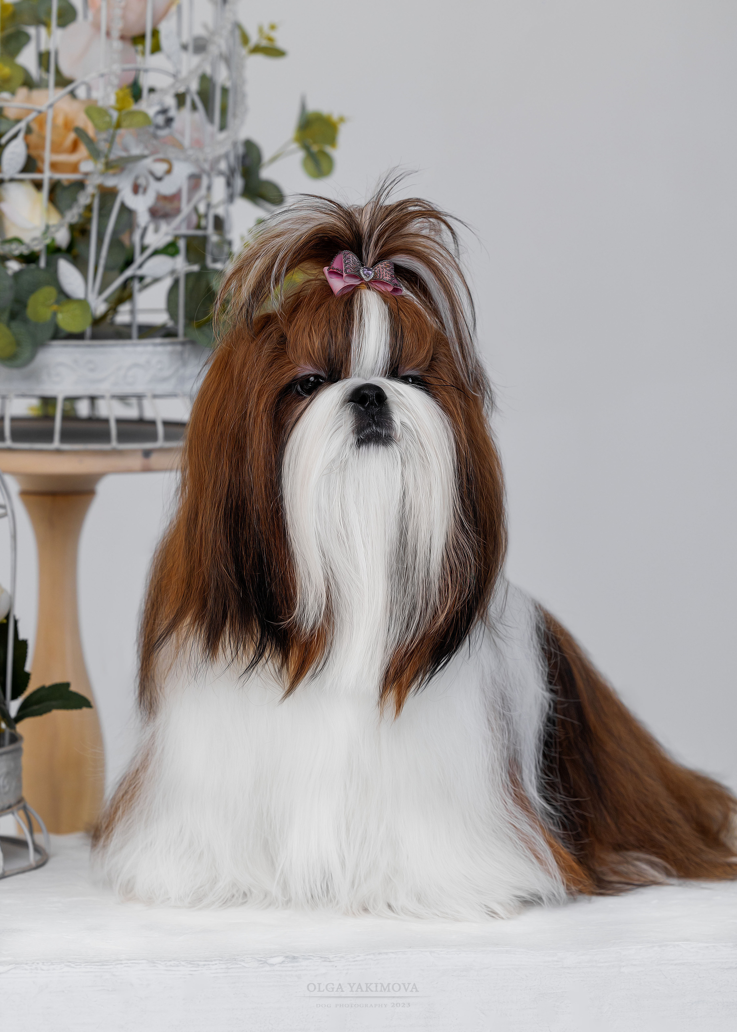 Экстерьер. Фотограф