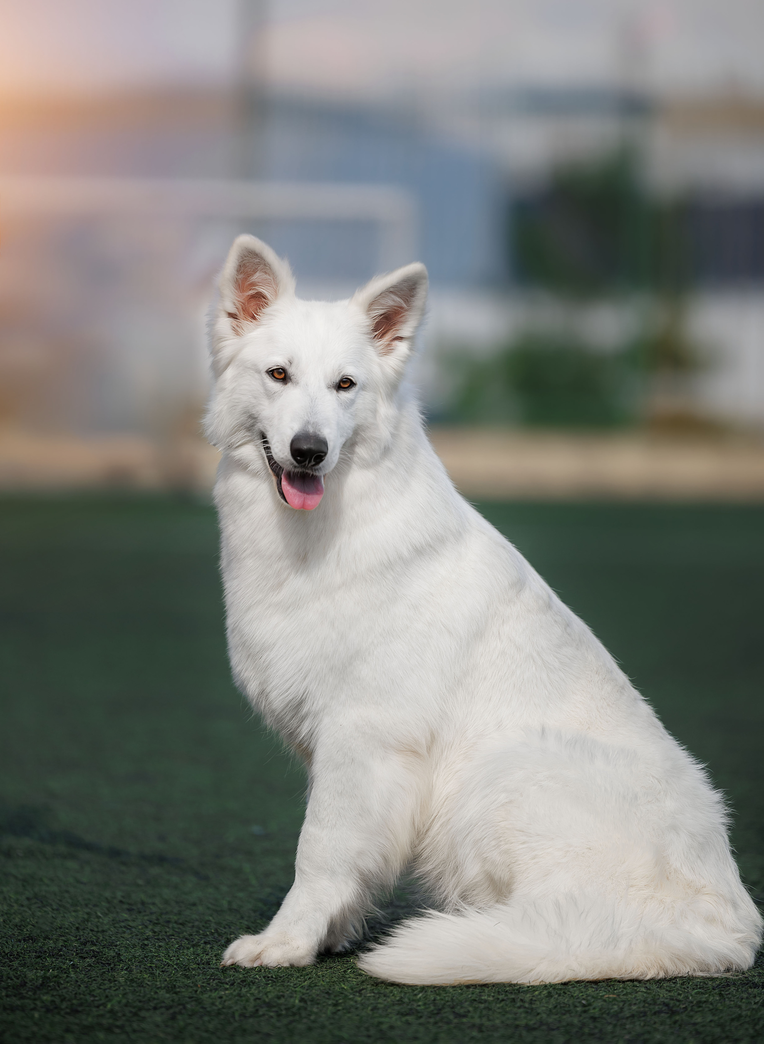 Фотограф на выставке, фотограф анималист