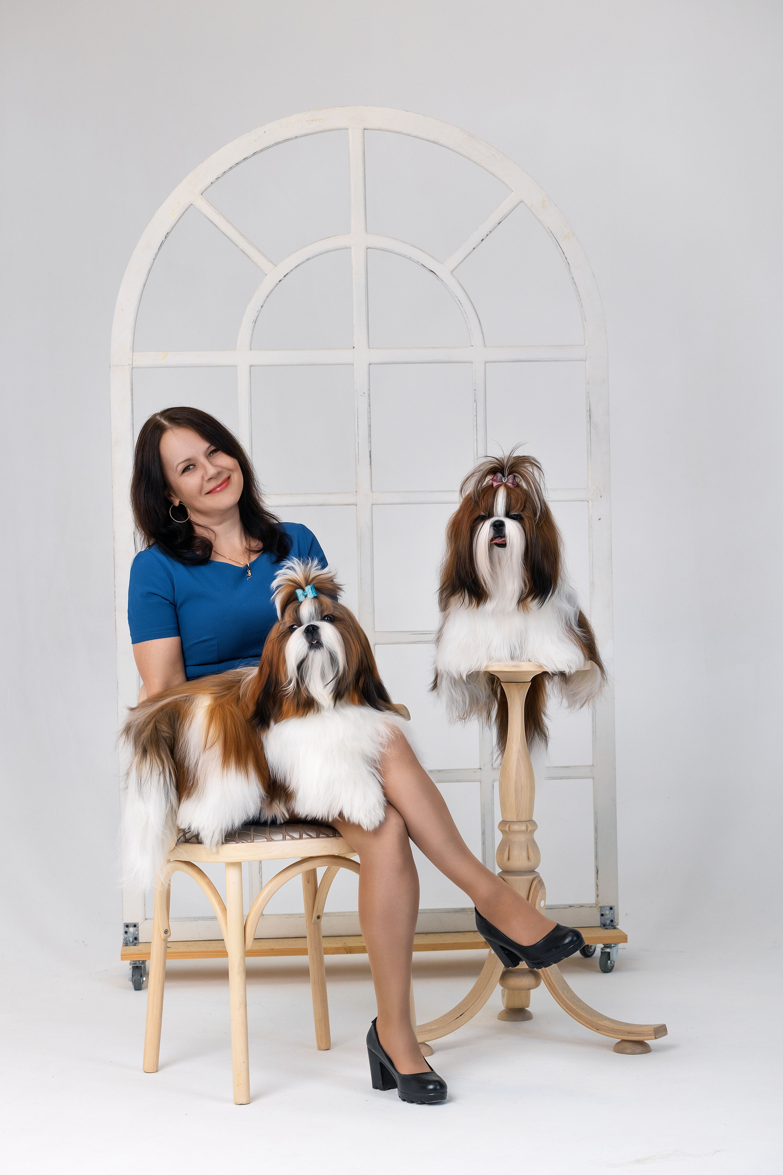 Ши-тцу. Фотограф