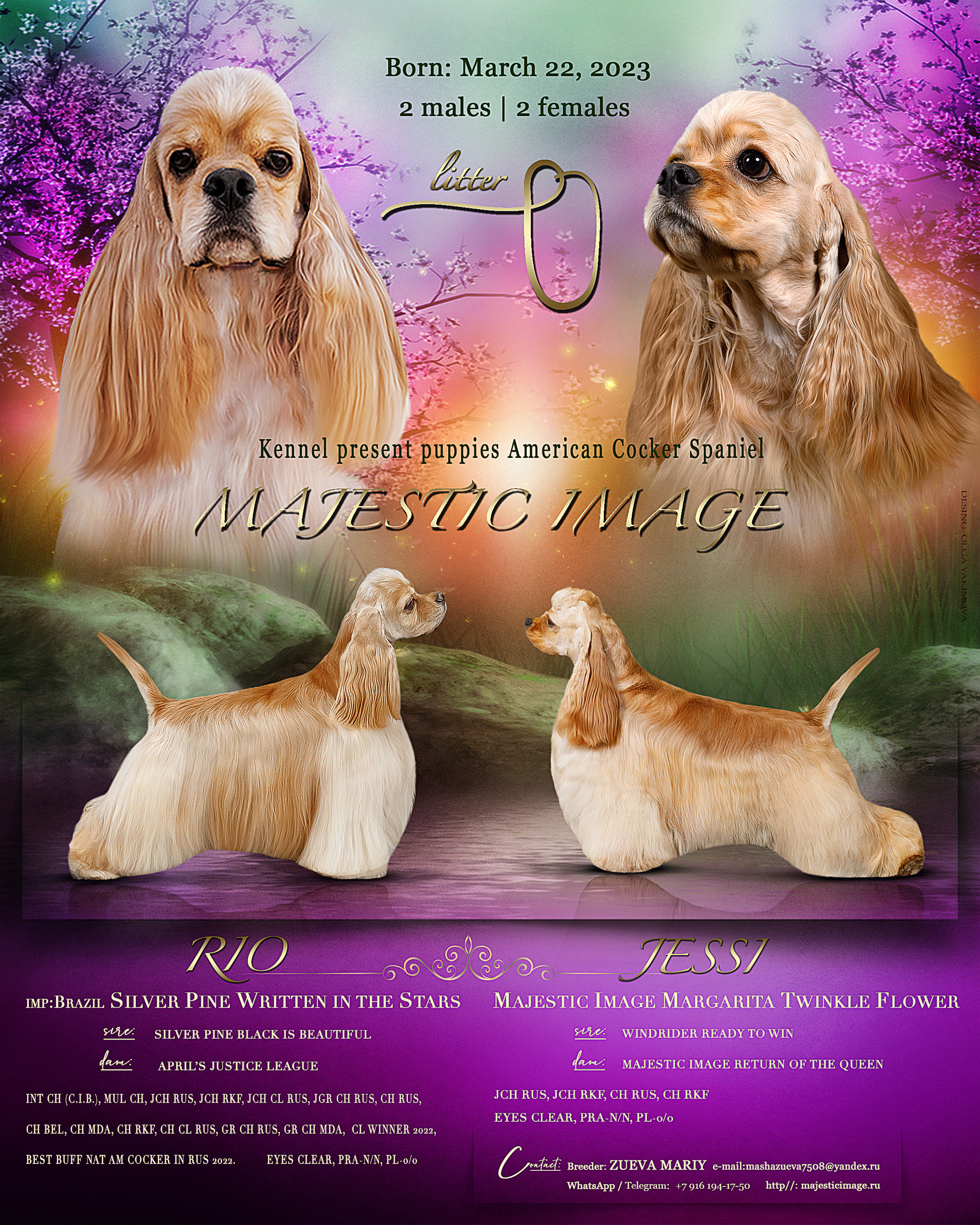 Animal presentation. Фотограф