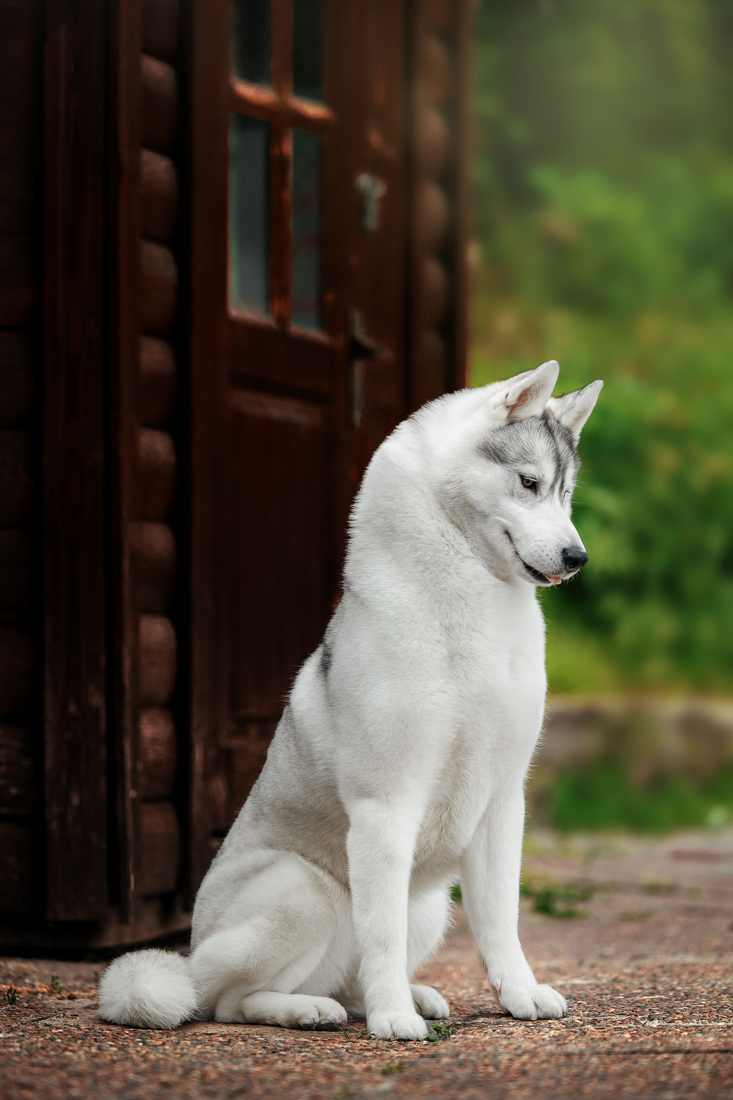 Экстерьер. Фотограф