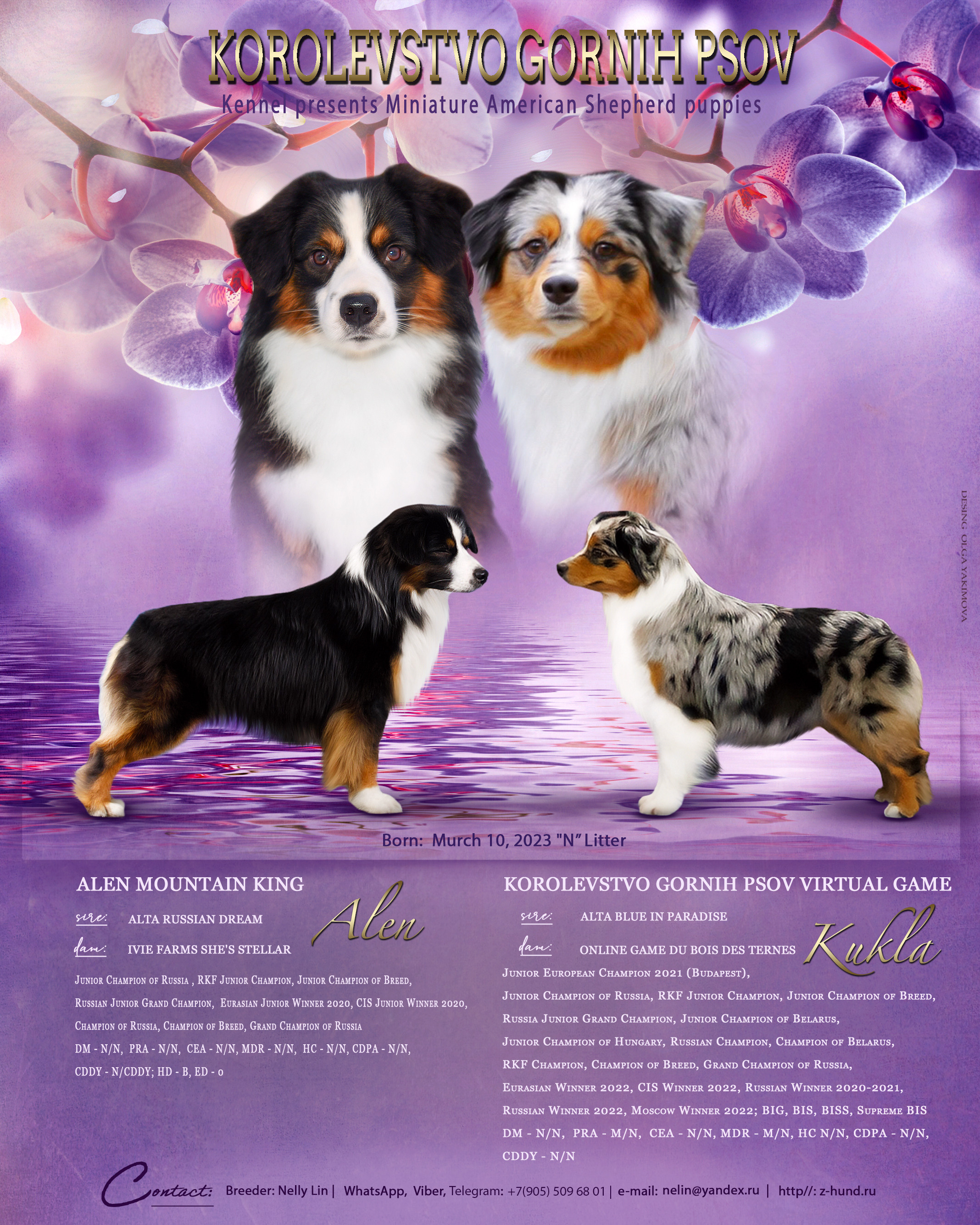 Animal presentation. Фотограф