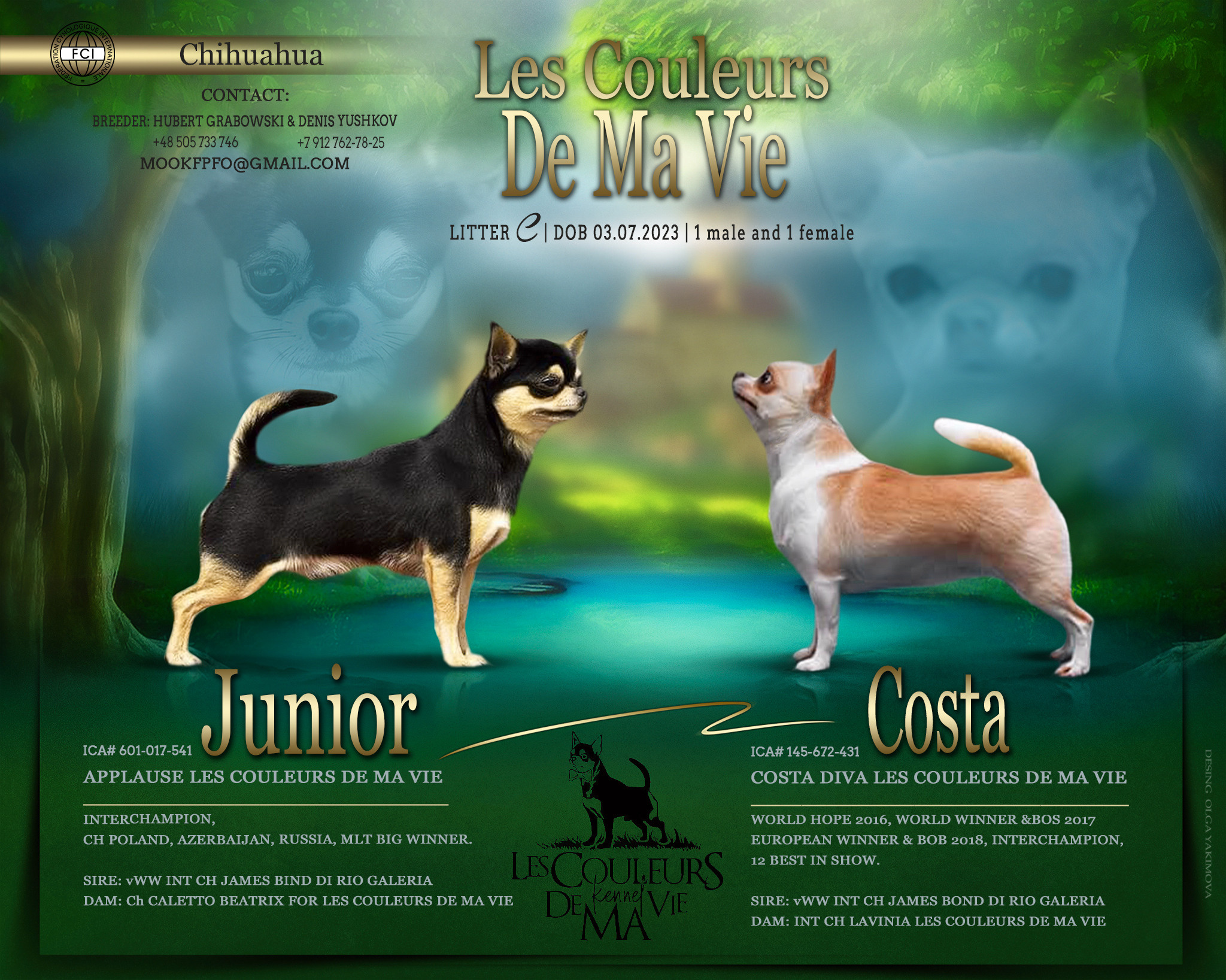 Animal presentation. Фотограф