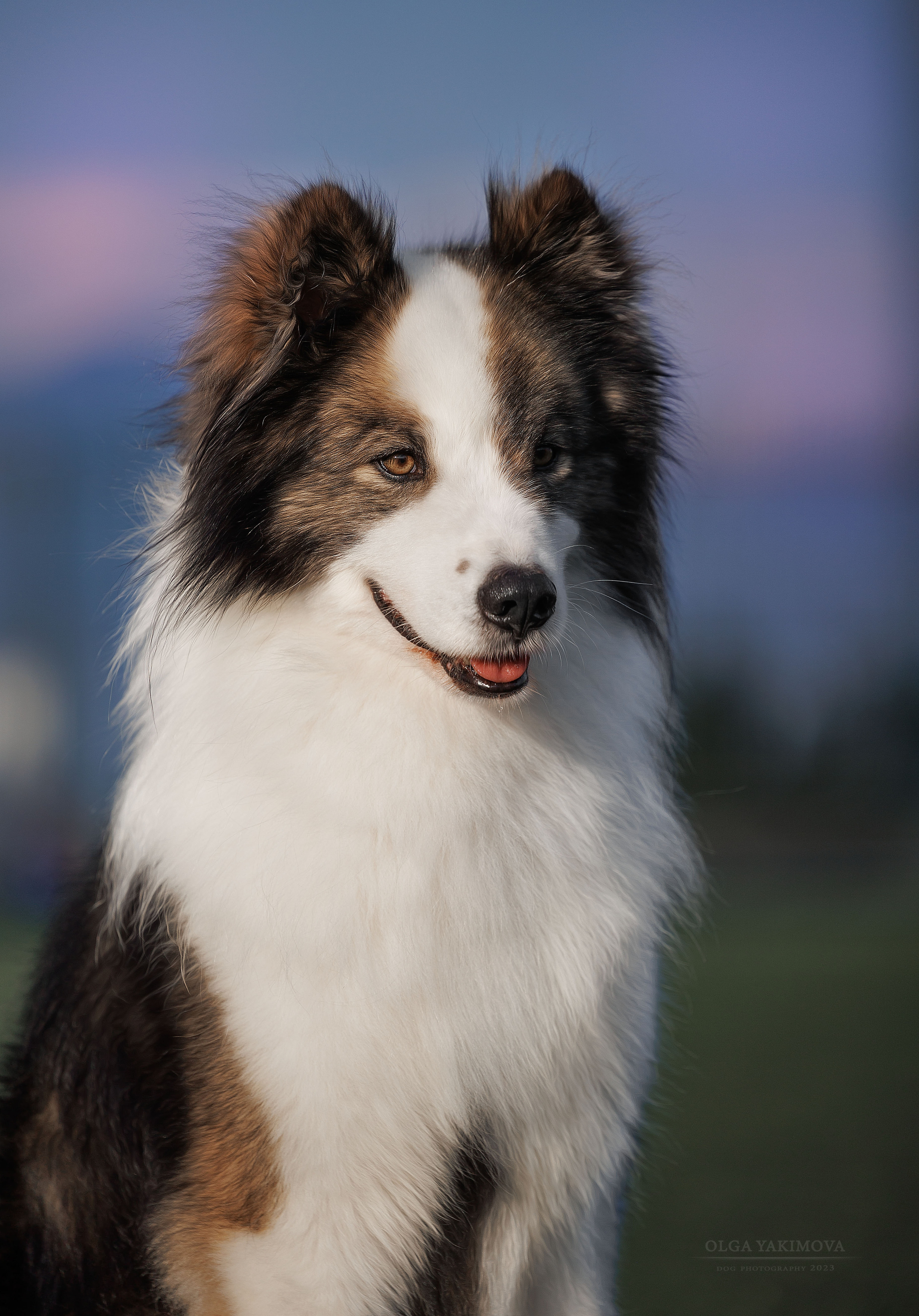 Фотограф на выставке, фотограф анималист