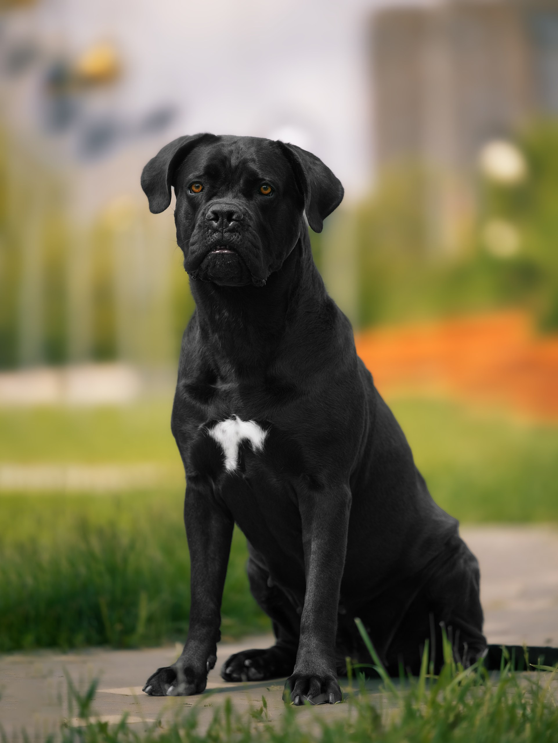 Фотограф на выставке, фотограф анималист