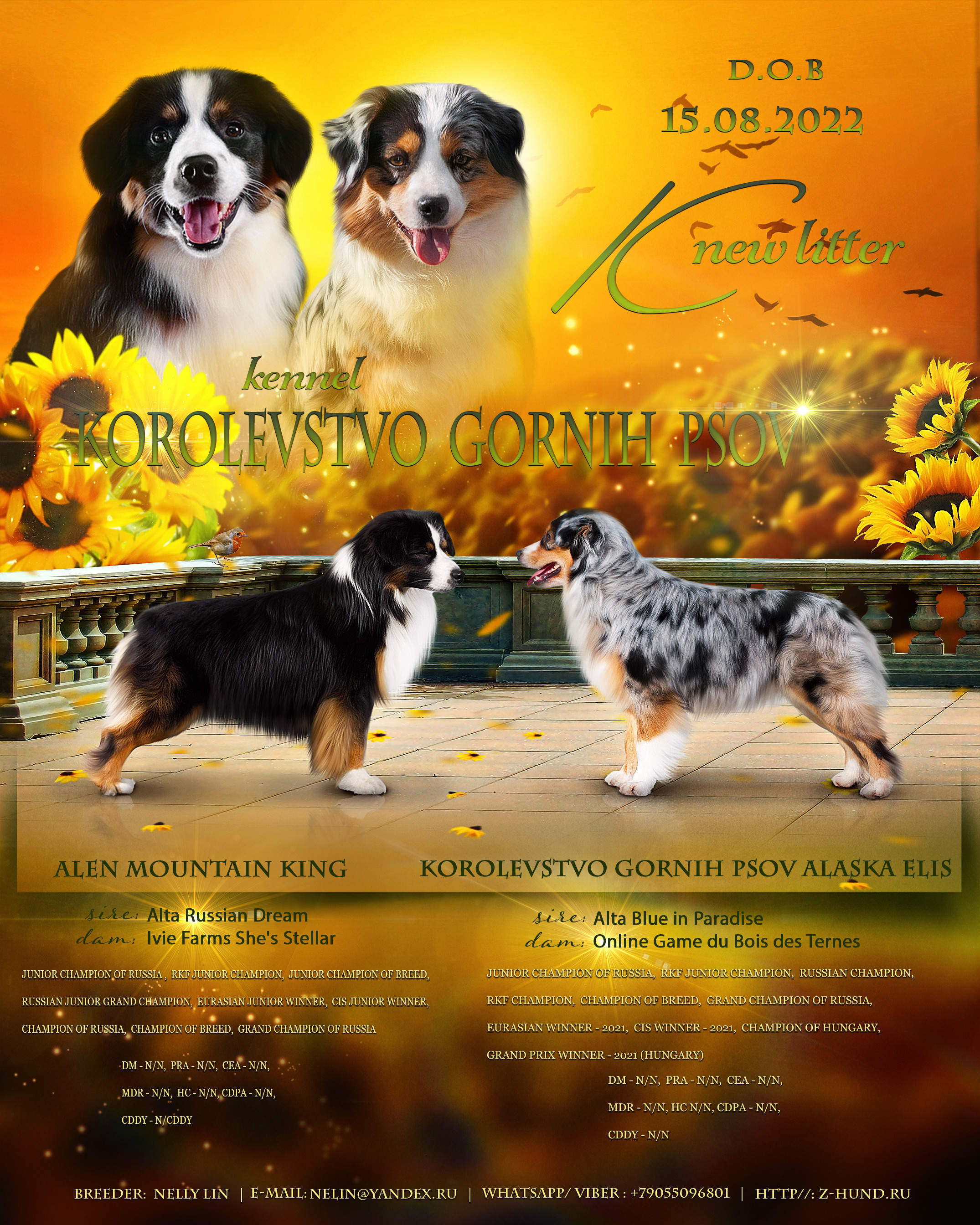 Animal presentation. Фотограф