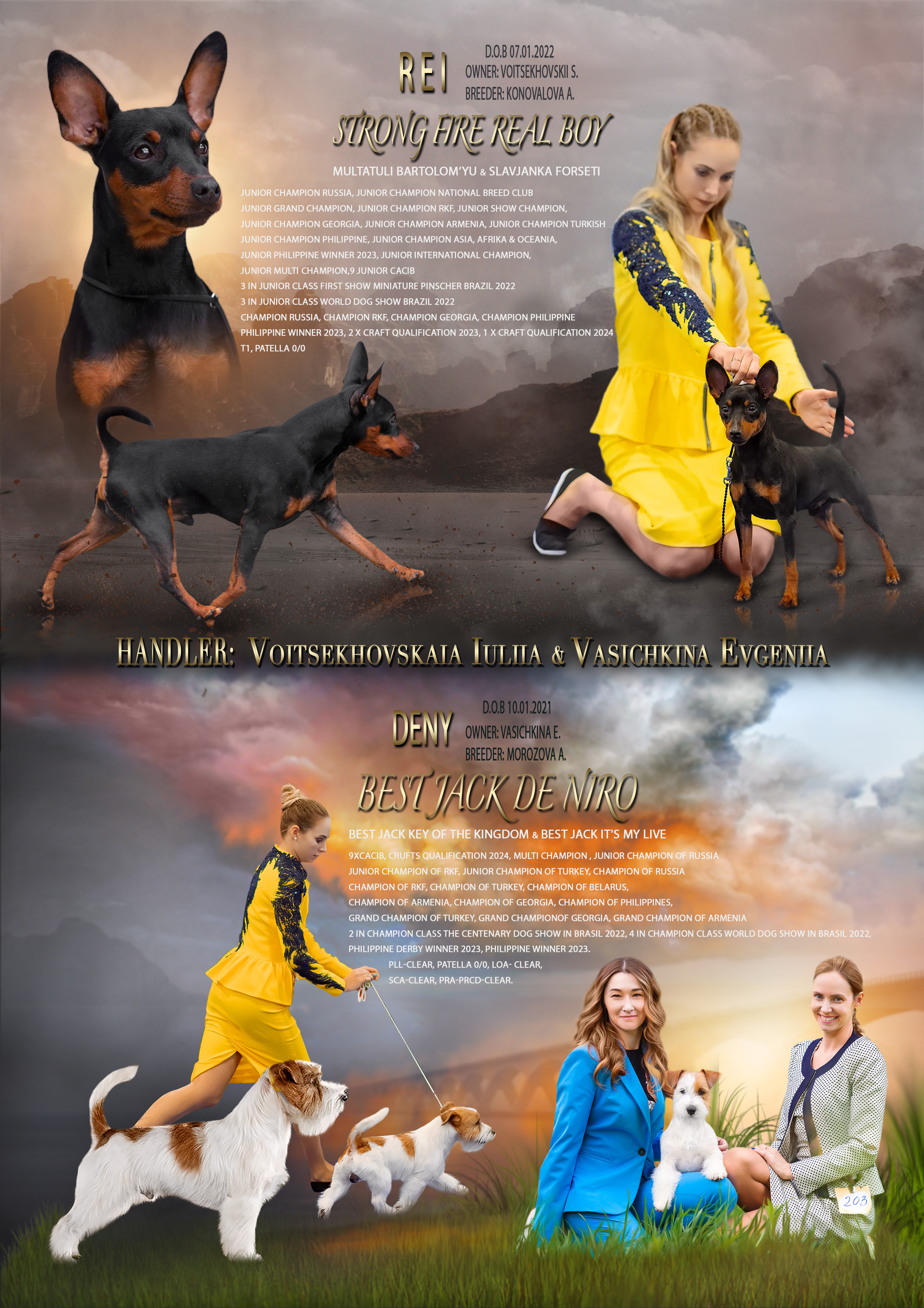 Animal presentation. Фотограф