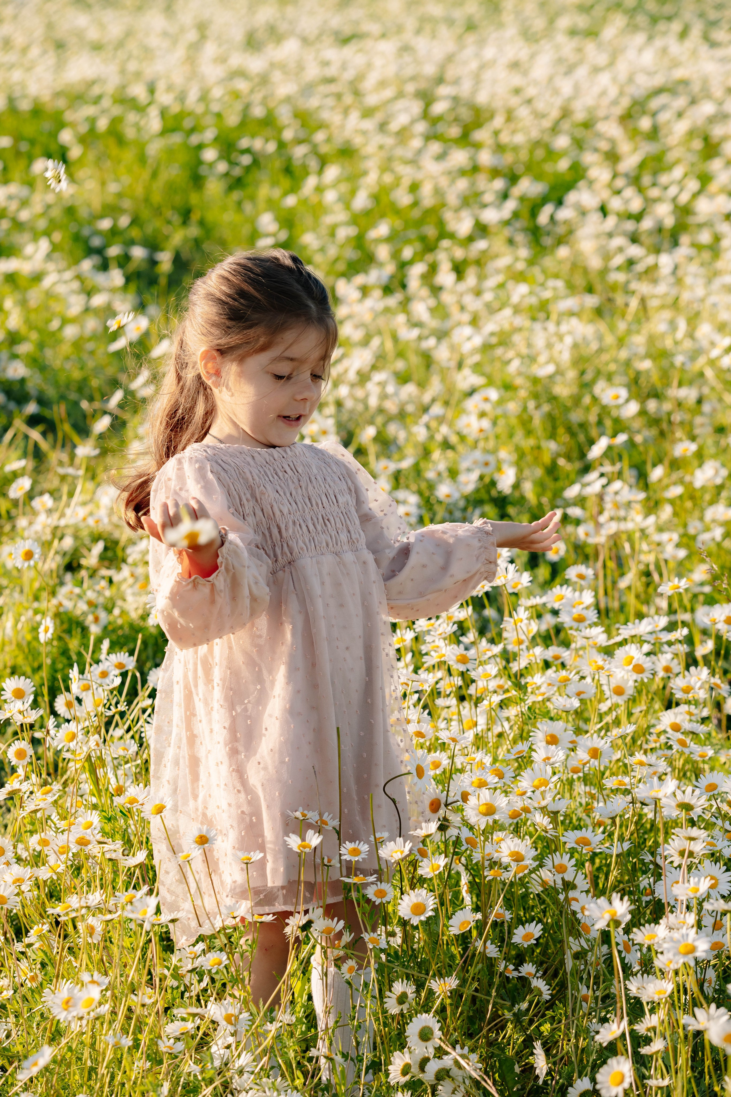 Ромашковое поле. Фотограф в Москве Яна Полосина