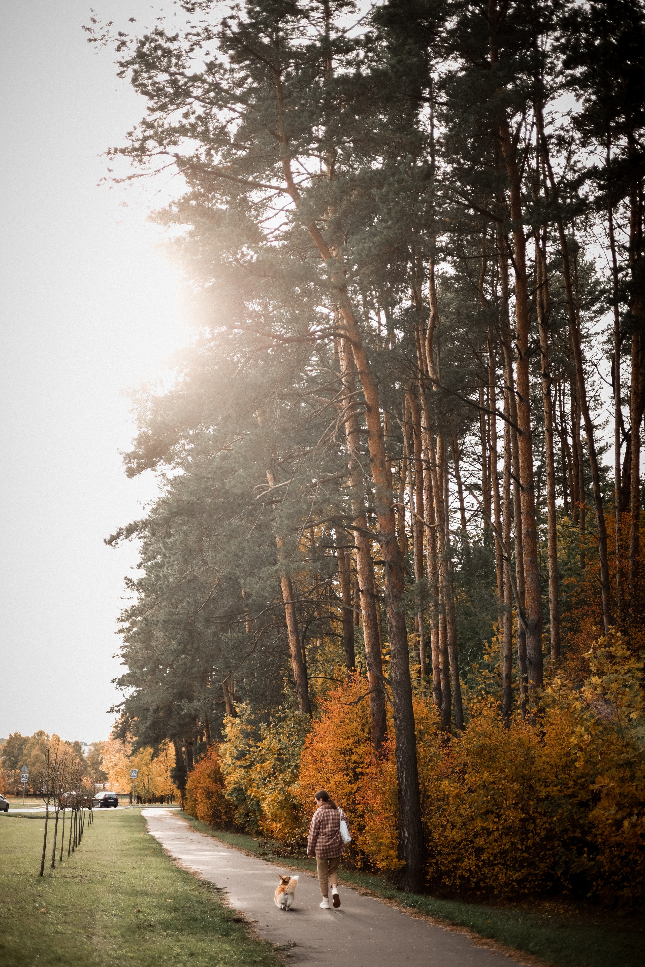 Съёмка с любимым четвероногим другом Ульяна и Фрося. Свадебный фотограф Беларусь Ольга Козыренко