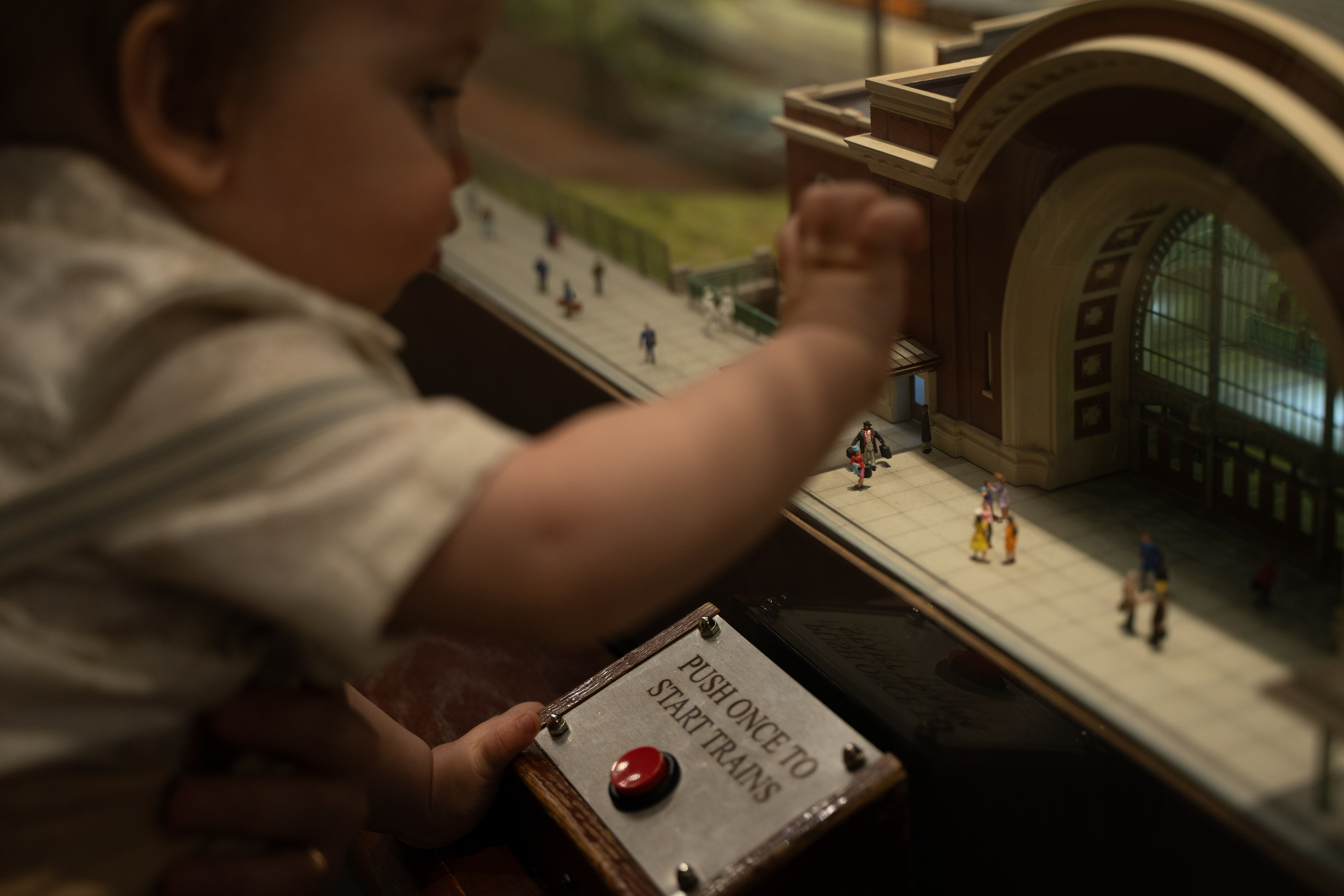 Took root. Wedding & engagement photographer in Seattle, WA. Tania Maureira