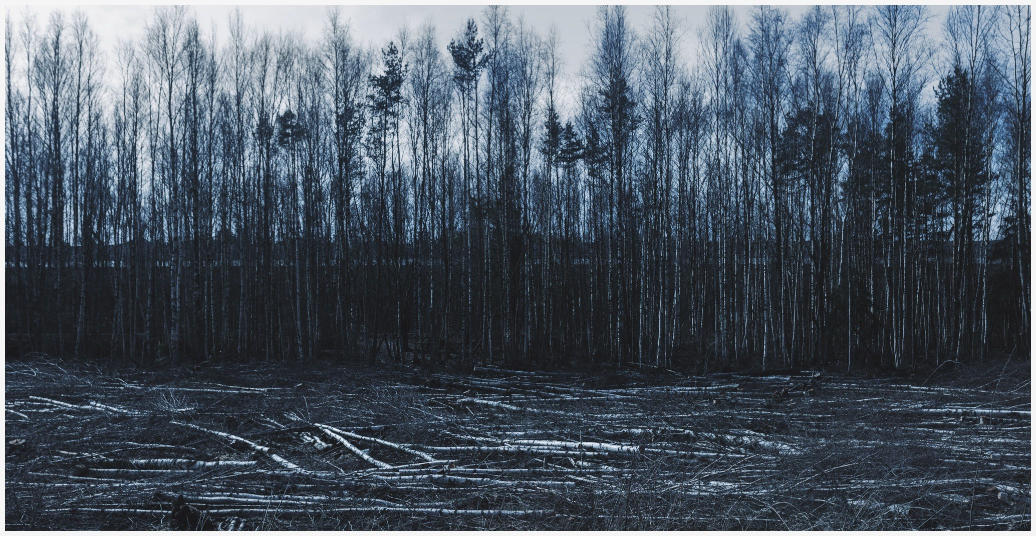 Spring. Photo project