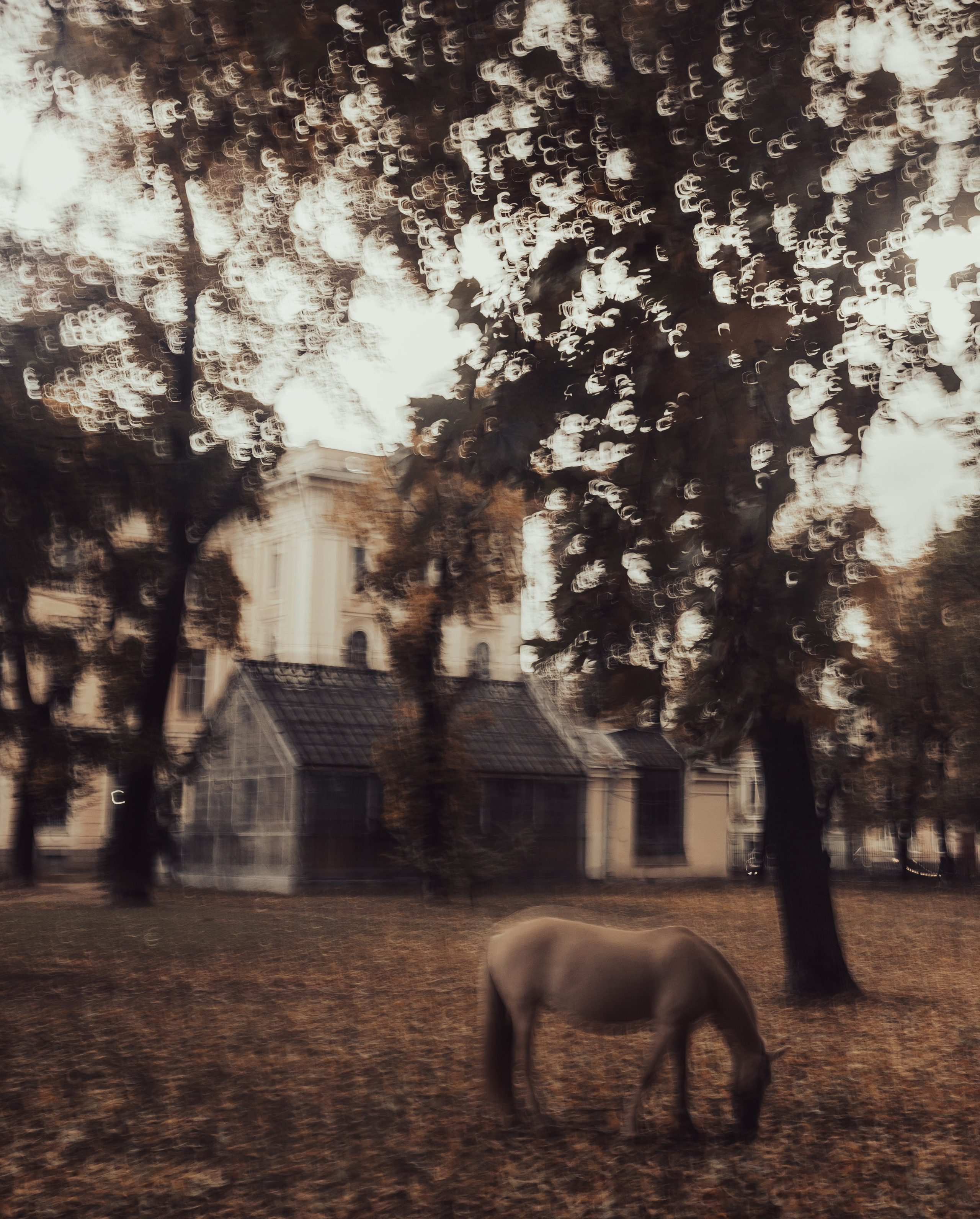 Memories. Photo project