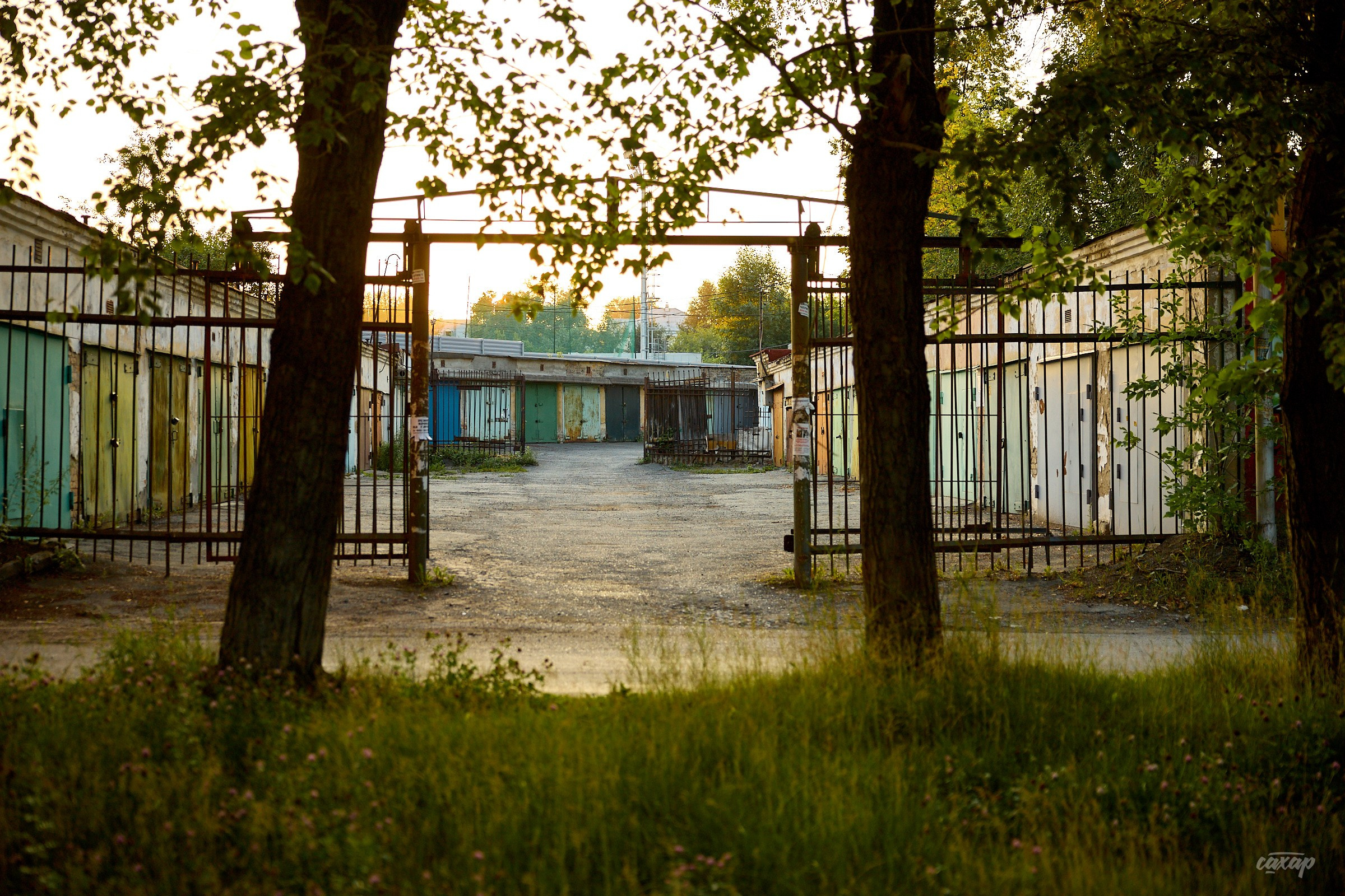 Не чай с Сахаром #5 от 17.07.2024. Профессиональный фотограф в Екатеринбурге Юра Сахар