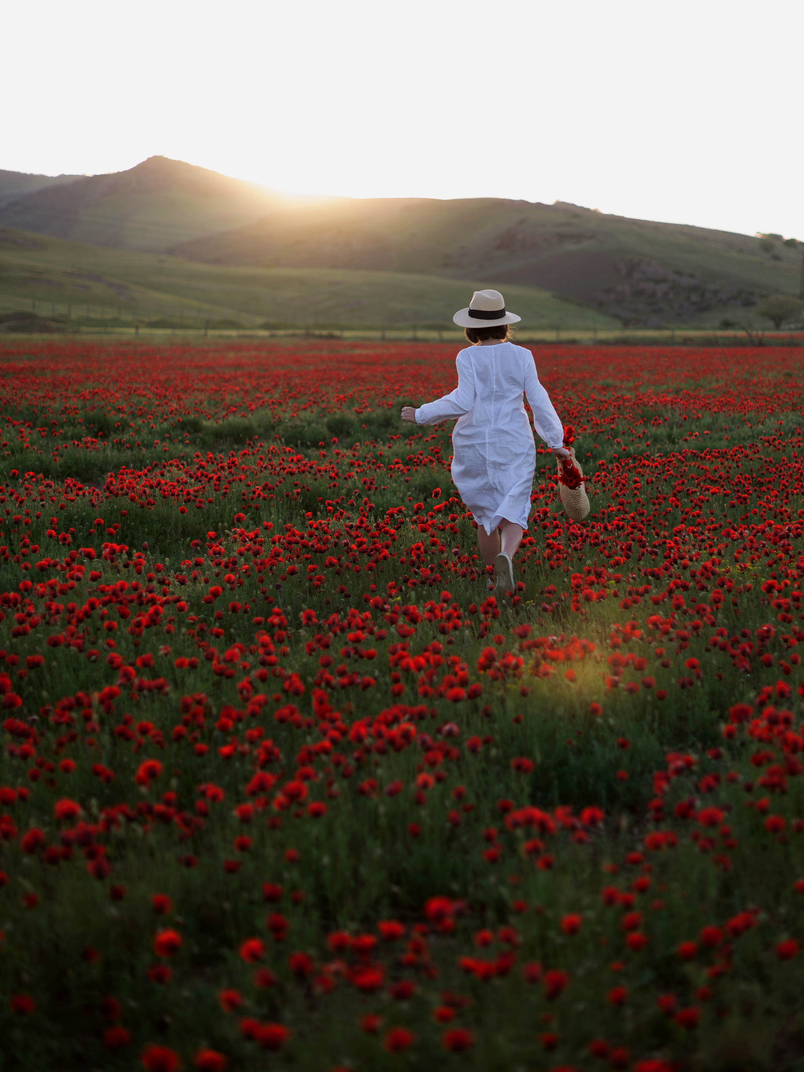 ADIAN. Главная