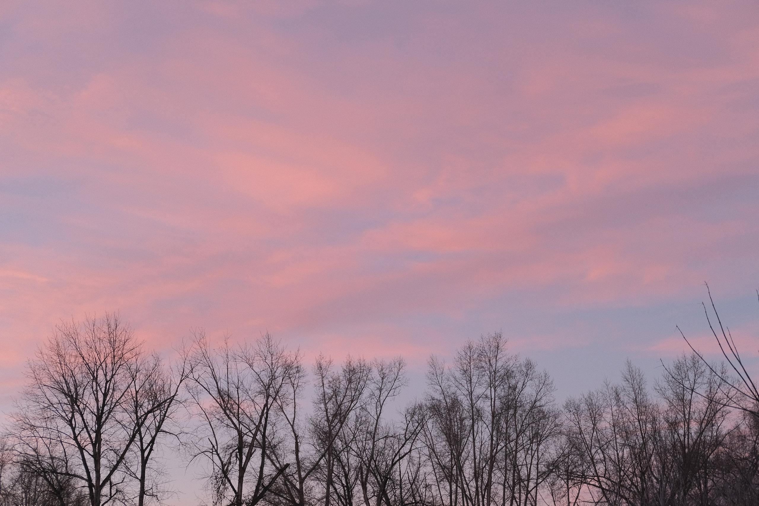 Наблюдения. Семейный фотограф в Новосибирске Артём Кузнецов