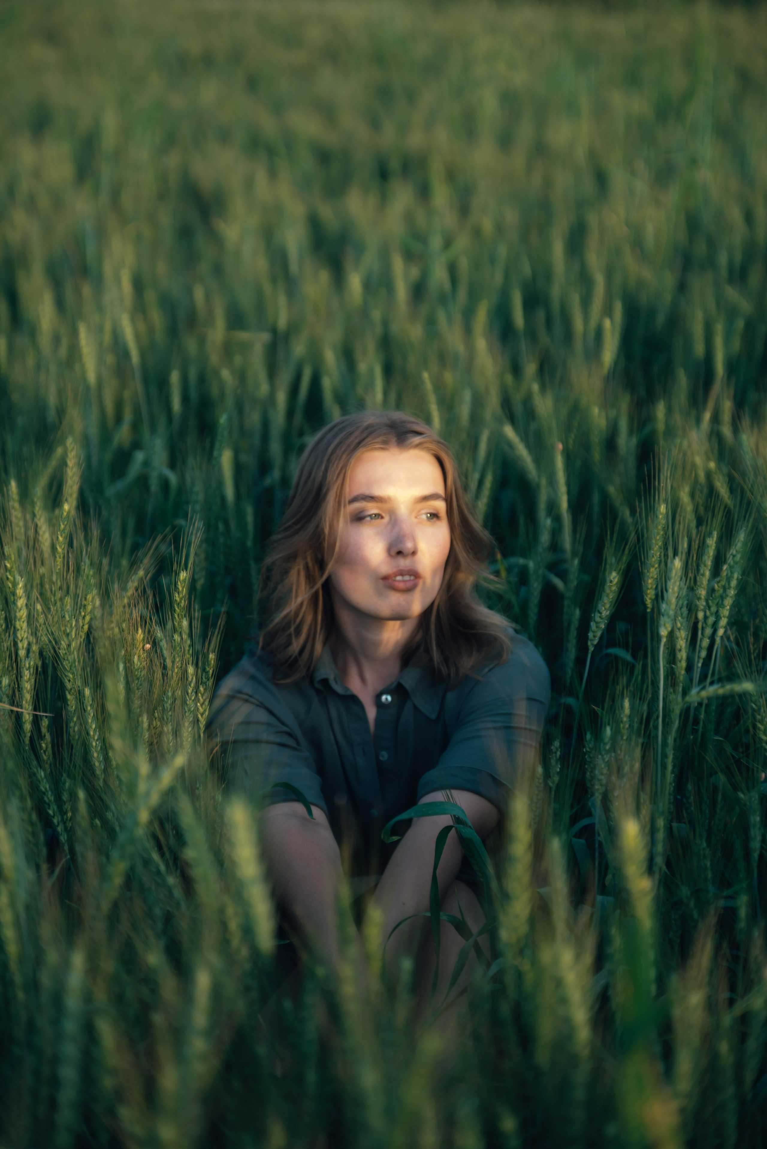 An Evening in the Field. Anna Lobanova | Photographer