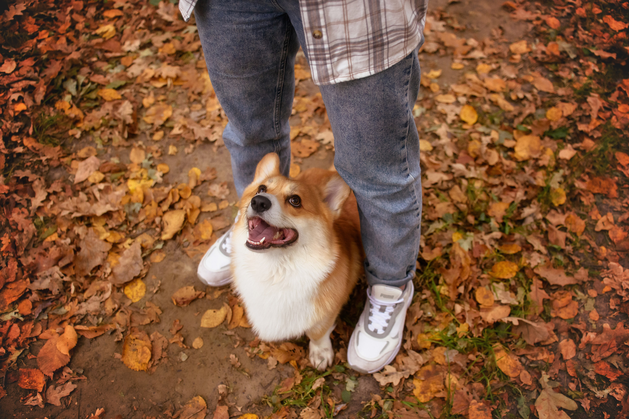 Женя и Феникс — 05.10.2024. Фотограф — Анималист | Анна Абрамова