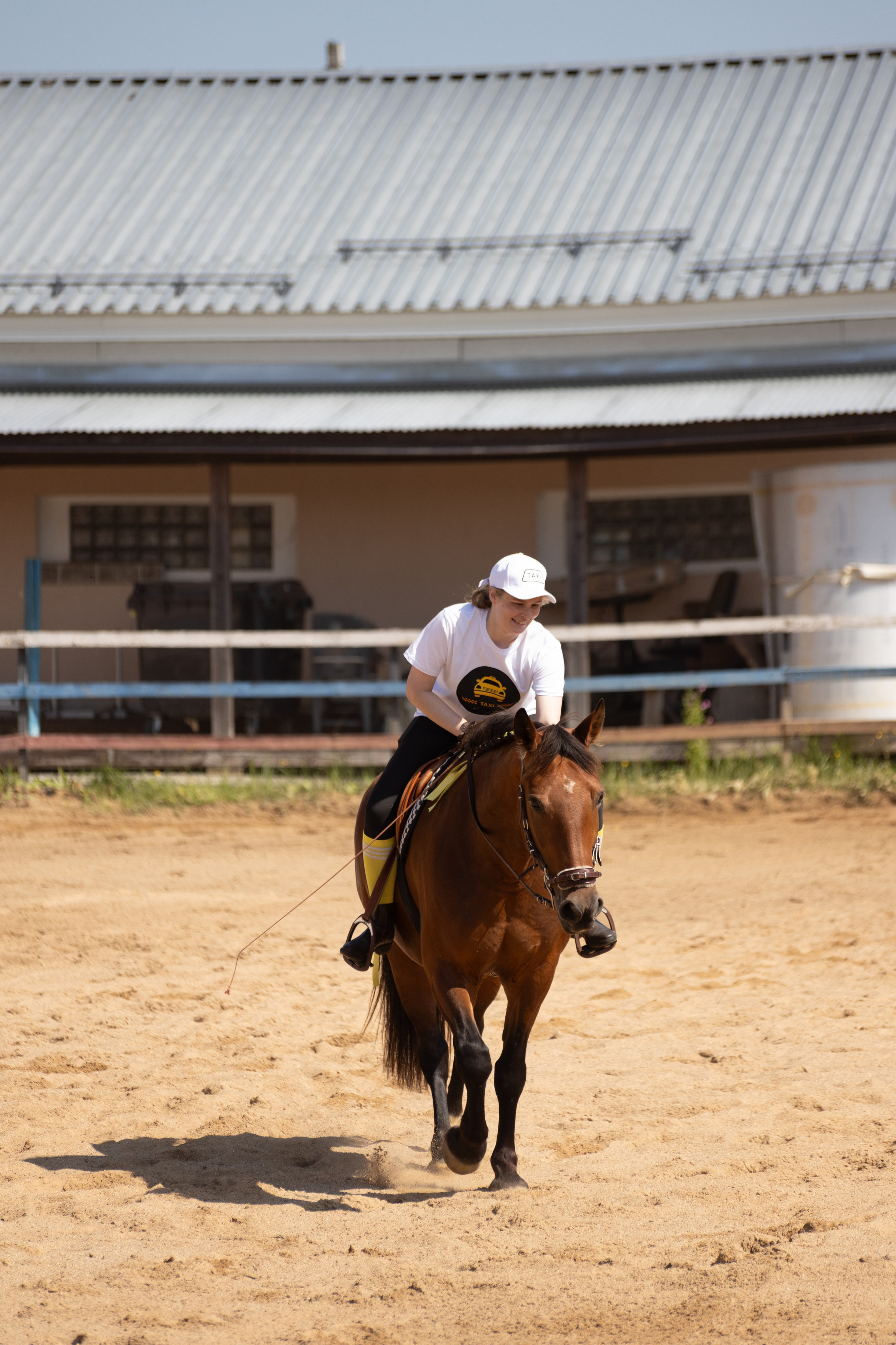 Конюшня. Фотограф в Москве и Истре
