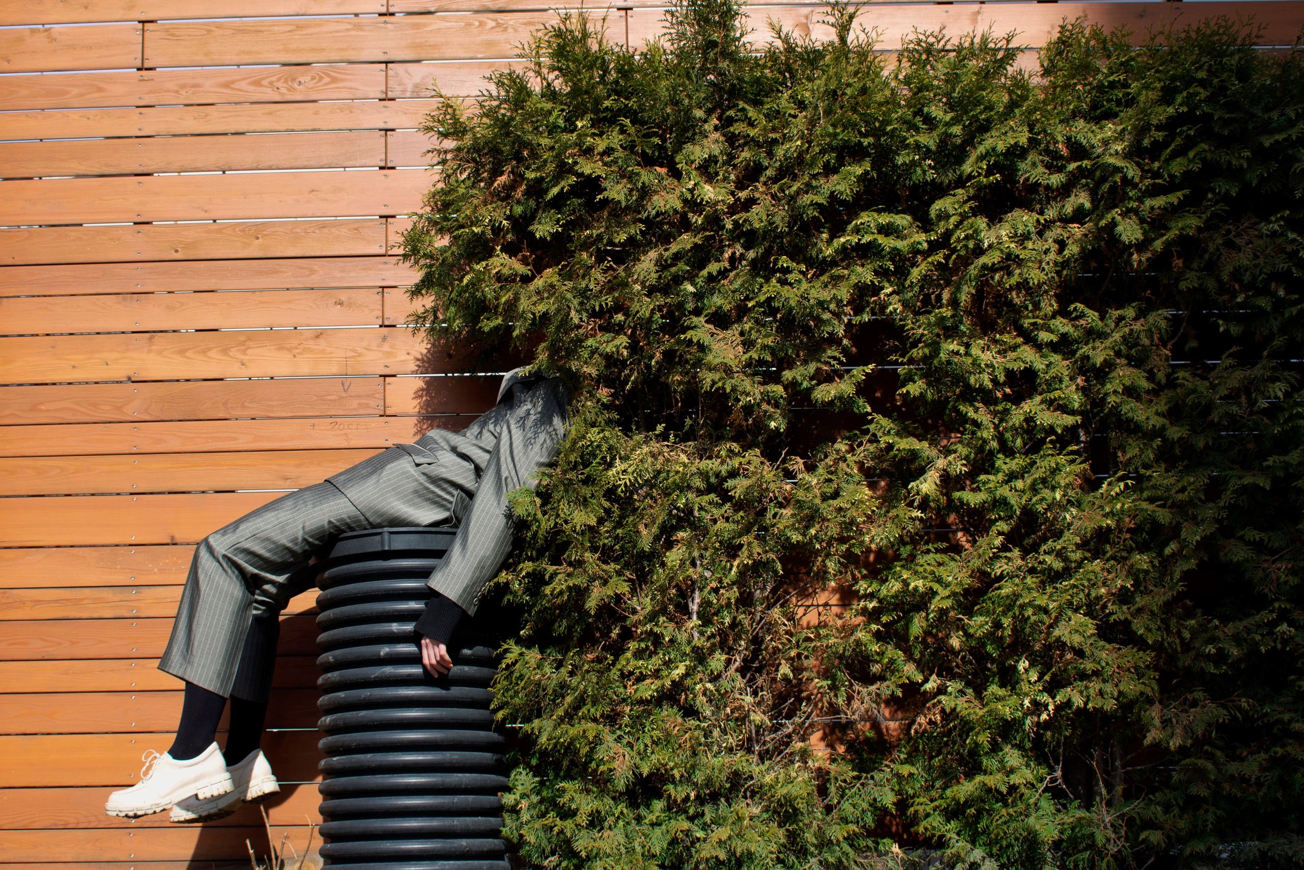 Мари. Главная