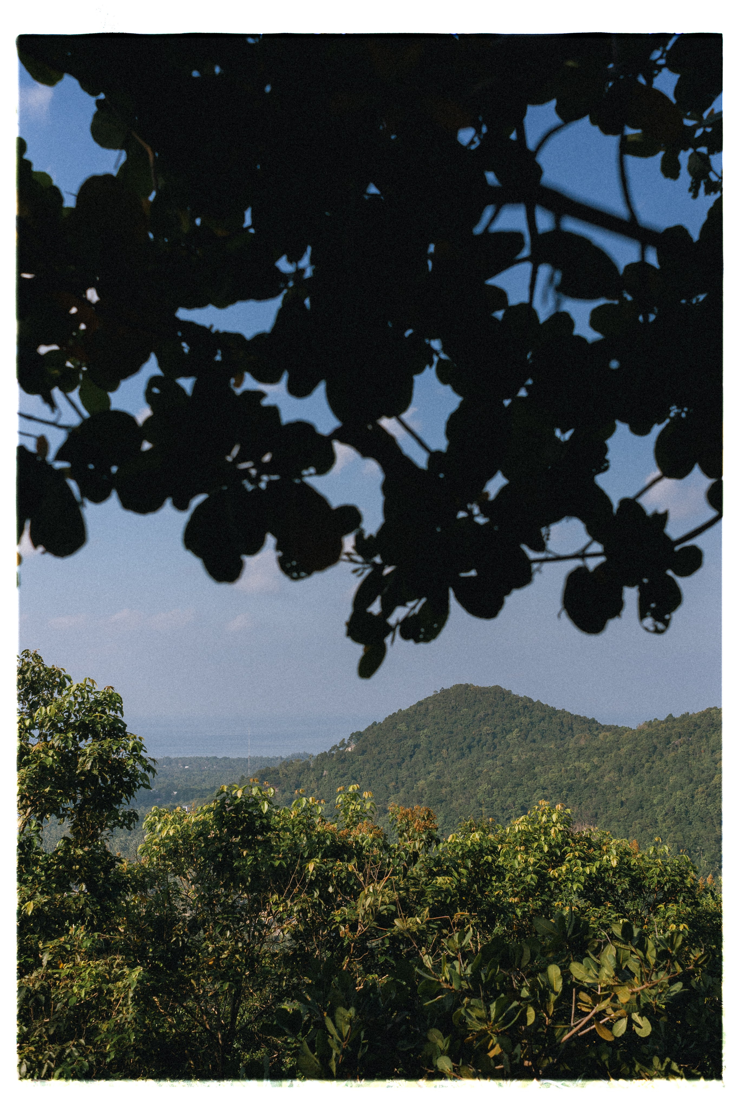 PAHNGAN 26. Свадебный и семейный фотограф Никита Корохов