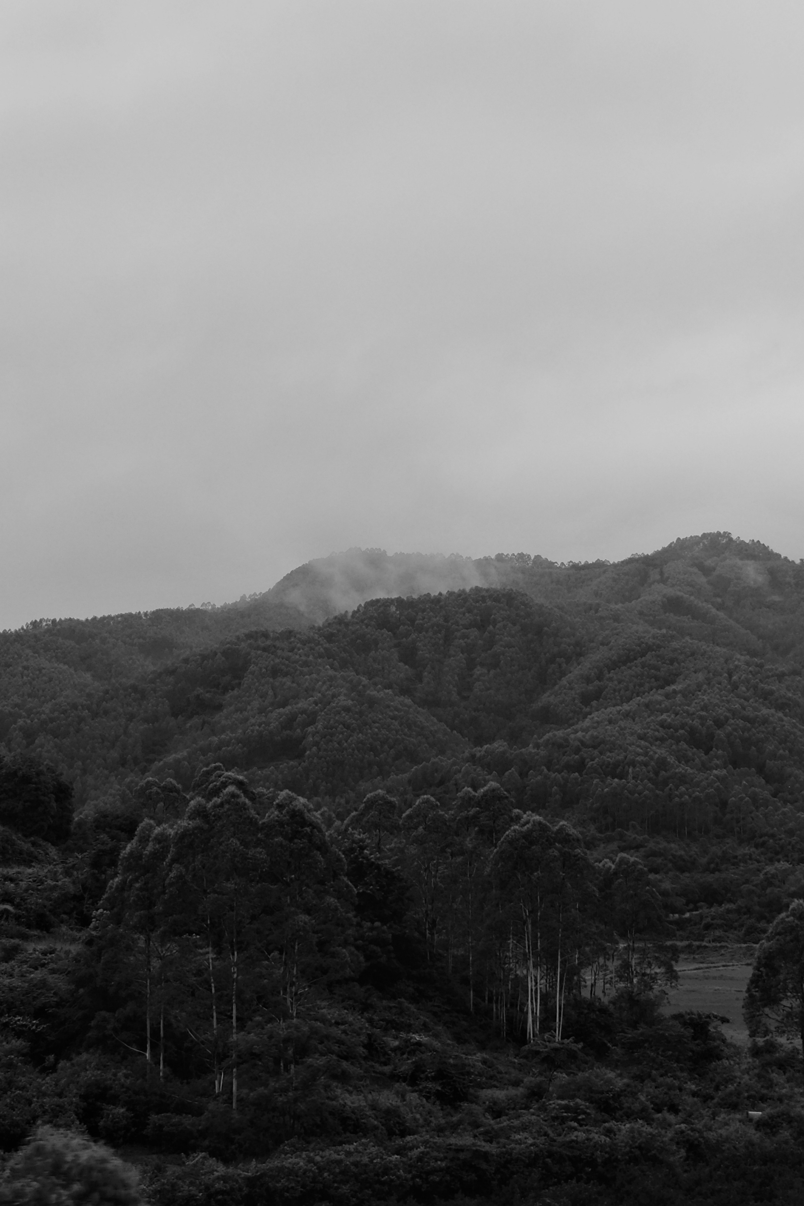 Yangshuo China Guiling. Фотограф В Гуанчжоу и Шэньчжэнь Андрей Лопатин