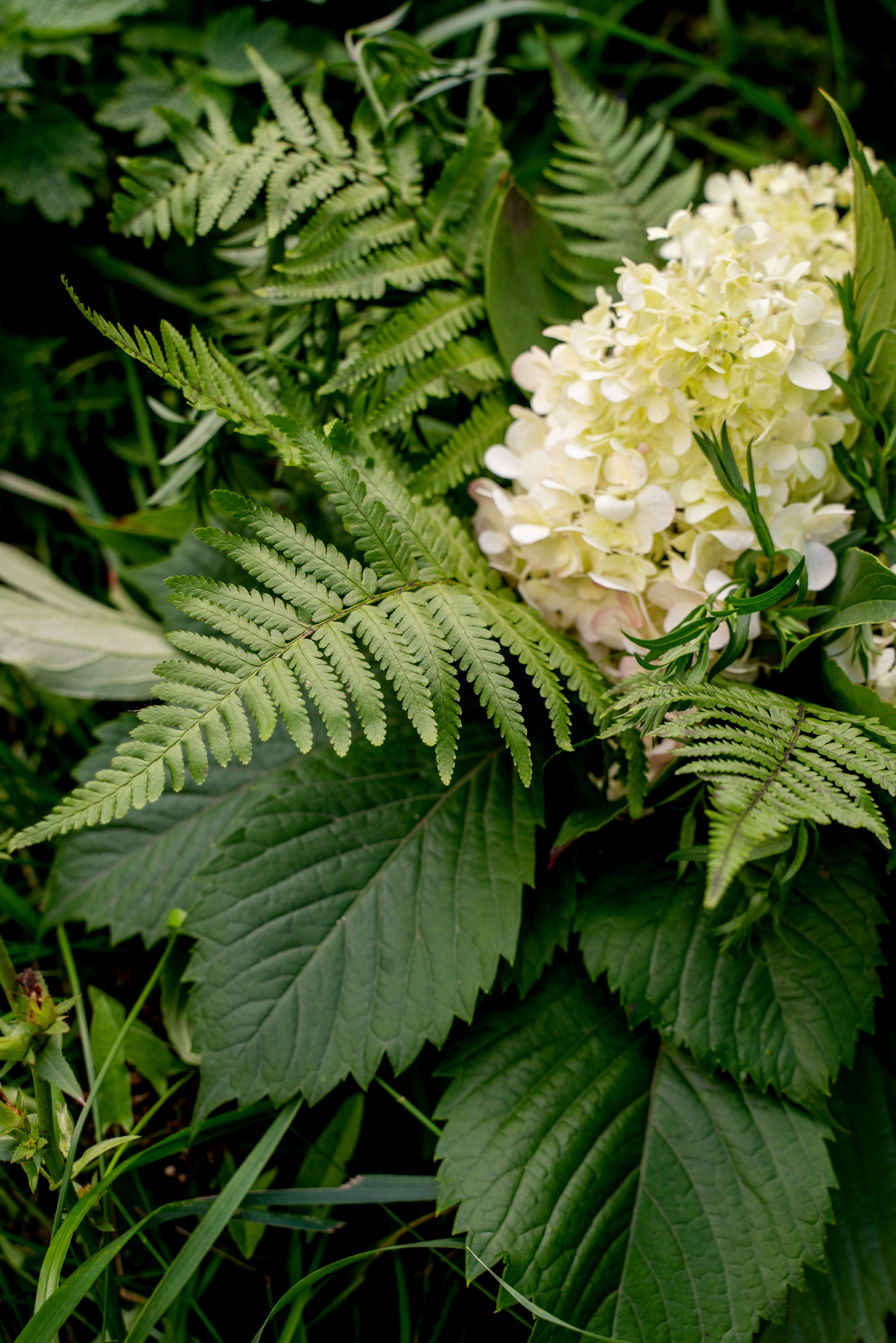АНДРЕЙ И АЛИСИЯ. Фотограф на любое мероприятие