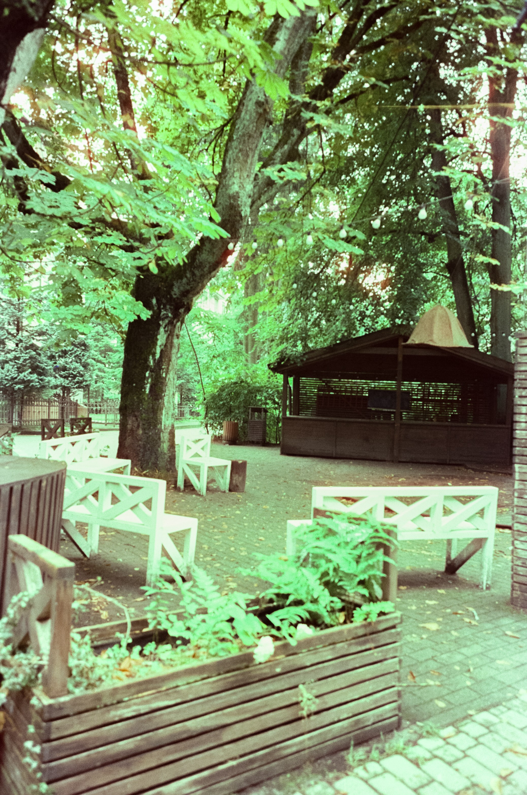 Арт-пространство Телеграф и улочки Светлогорска. Фотограф-документалист Мария Осокина