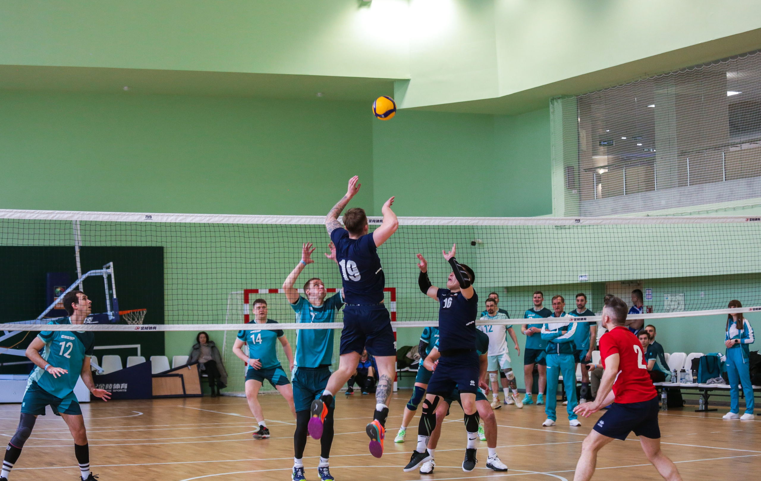 Волейбол. Репортажный, семейный, свадебный, портретный фотограф