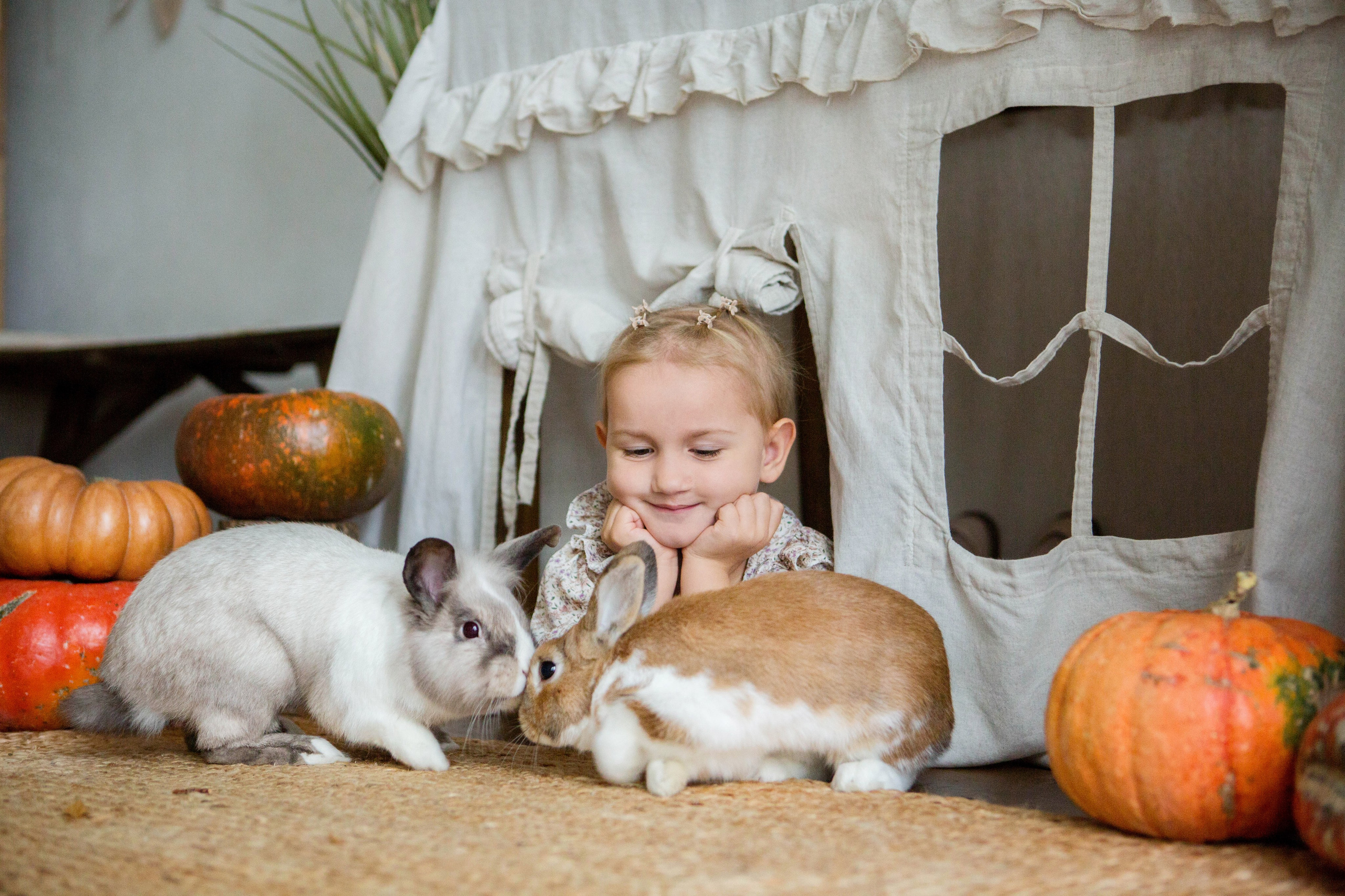 «Осень. Тыквы. Кролики». Фотостудия «Menstone». Свадебный семейный и детский фотограф в Краснодаре Карина Федоровская