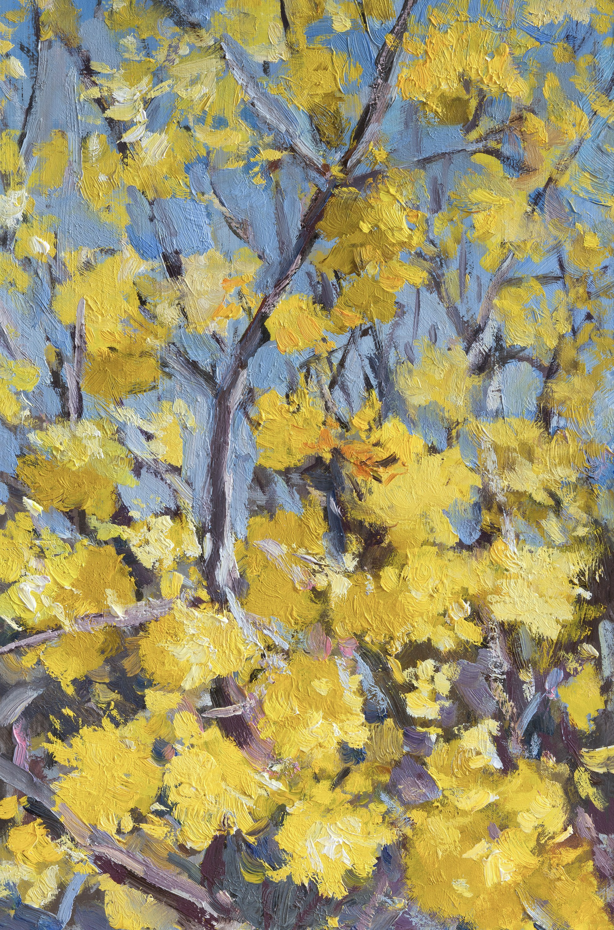 "Кизил цветет" картон, масло 30х20см, 2025г