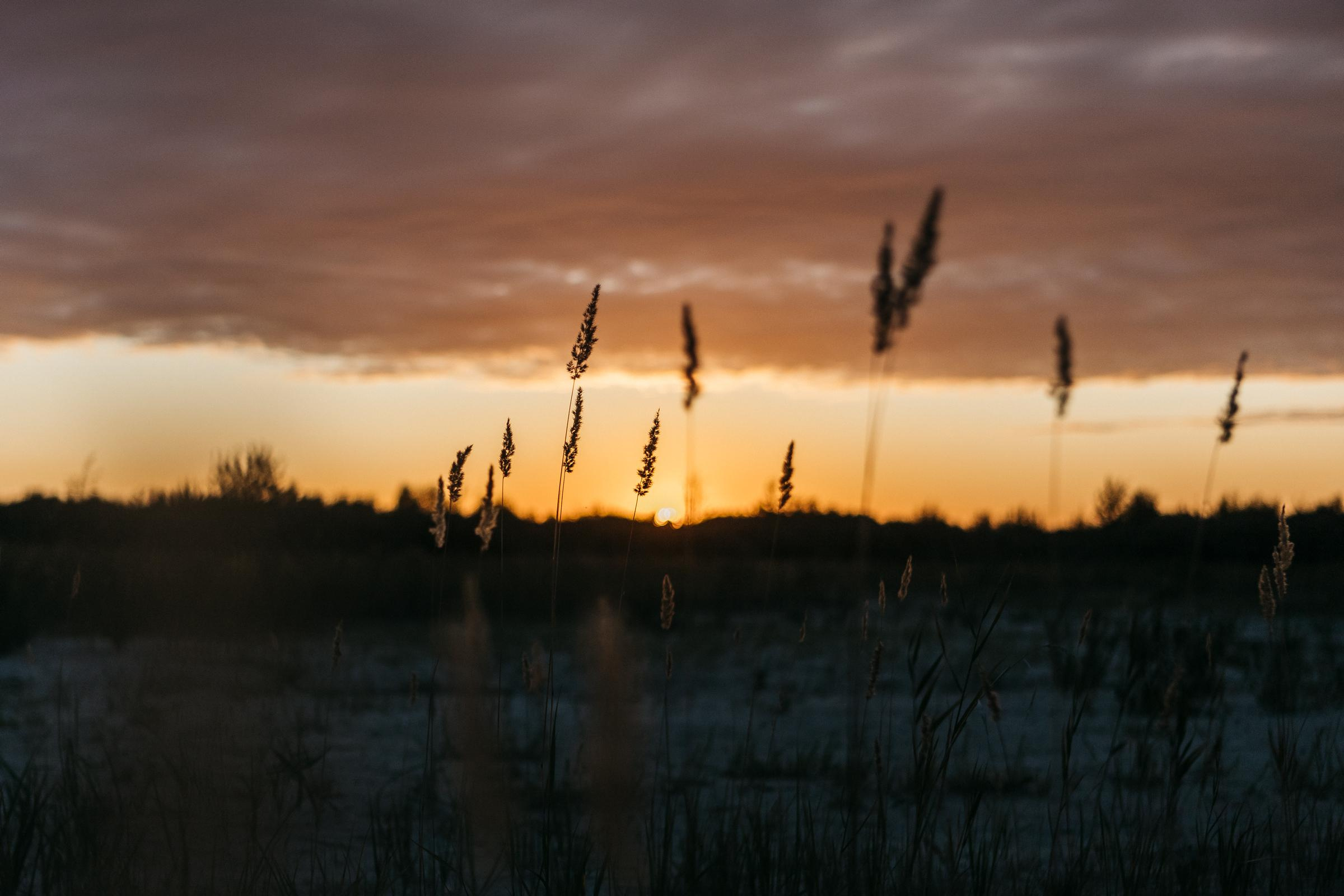 Никита&Екатерина