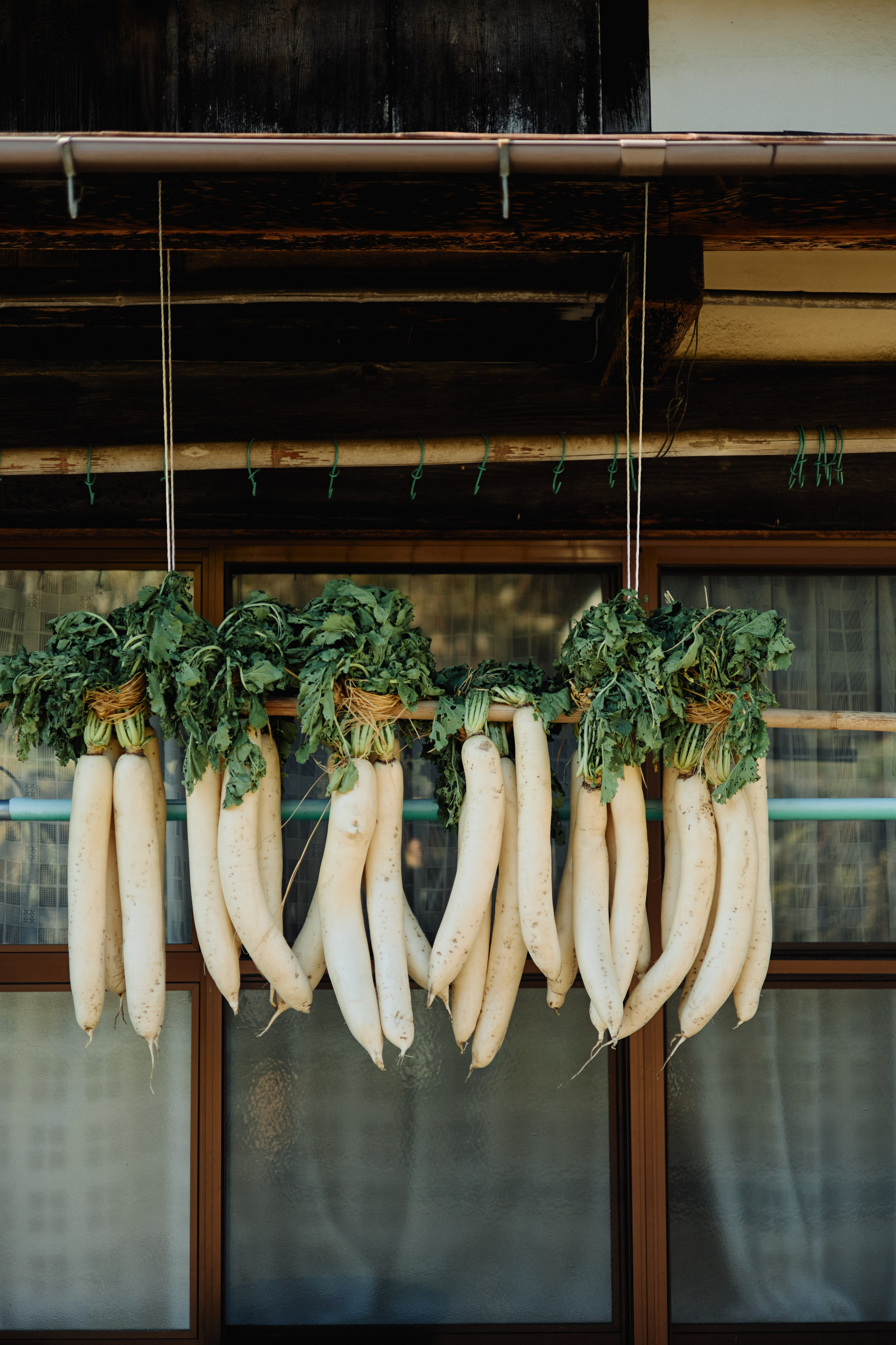 Япония. Профессиональный Фотограф во Владимире, в Москве и в Суздале — Полина Романычева