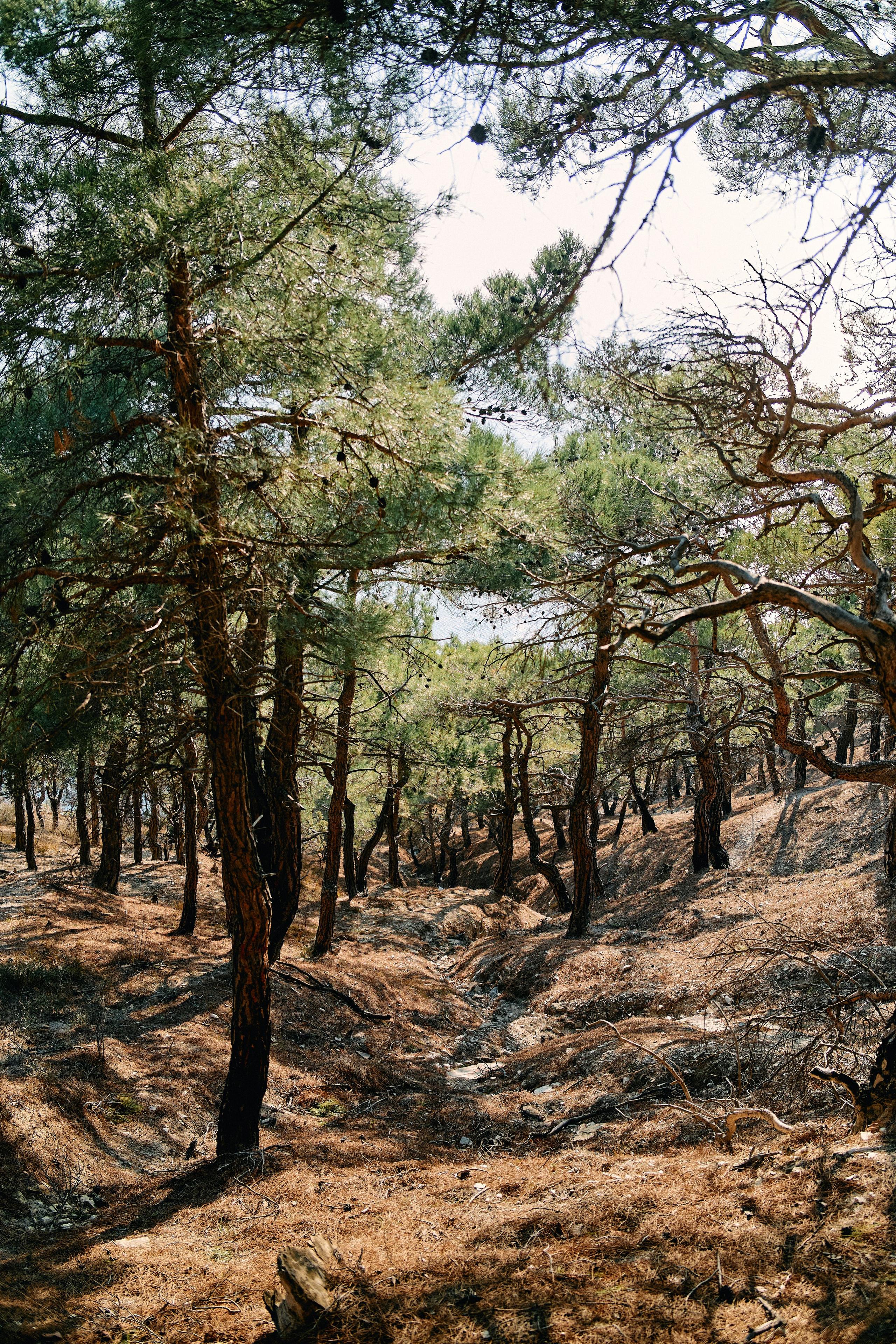 Юг России. Профессиональный Фотограф во Владимире, в Москве и в Суздале — Полина Романычева