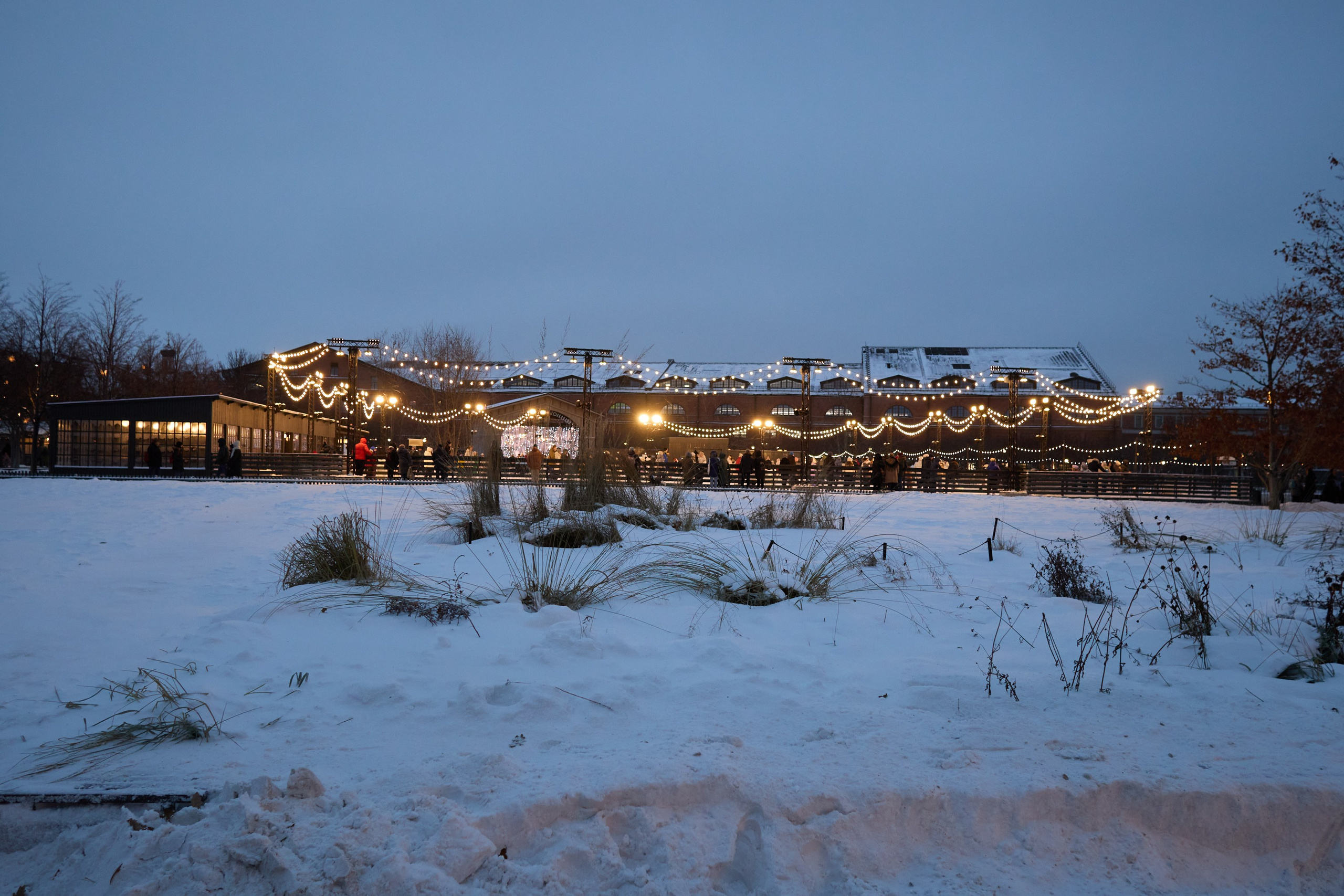 Рождество въ Санктъ-Петербургѣ. Фотографъ Сергѣевъ. Поймать мгновеніе