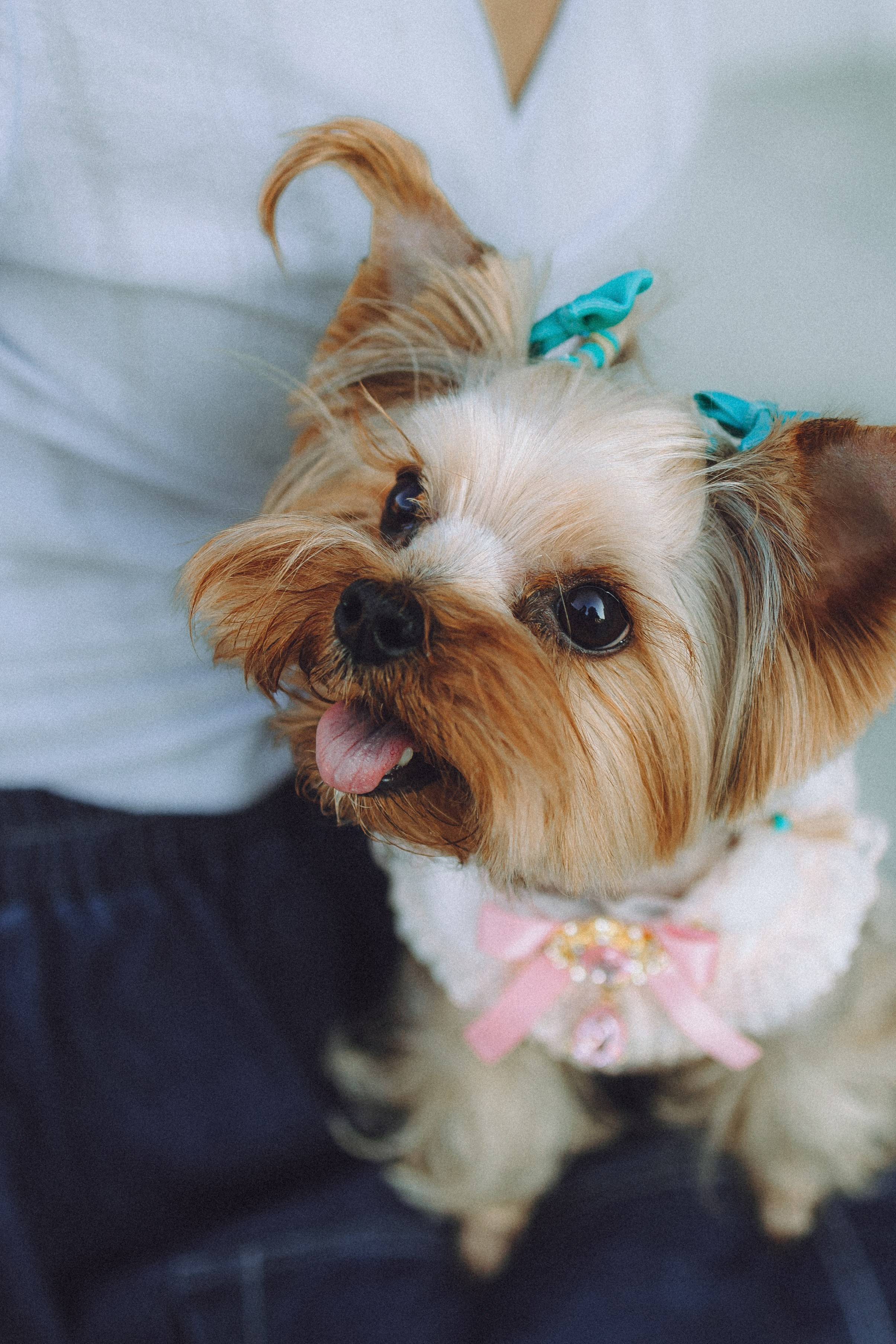 Дженни, Оливия и их семья