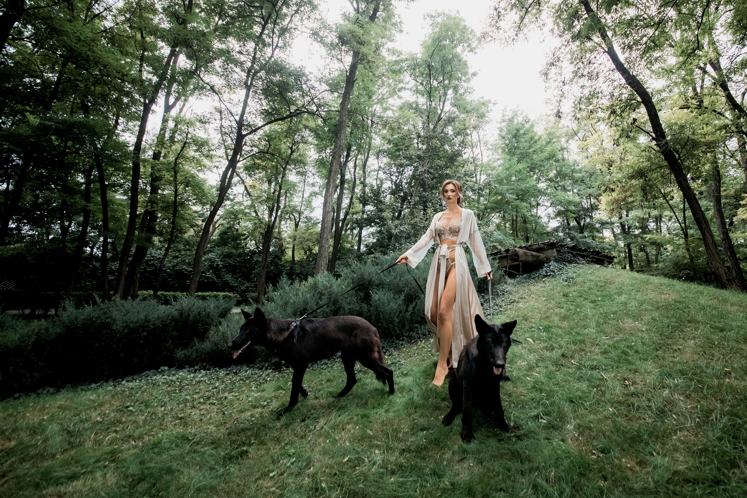 Сумерки Романа и Юлии. Свадебный организатор в Ростове-на-Дону Яснов Роман