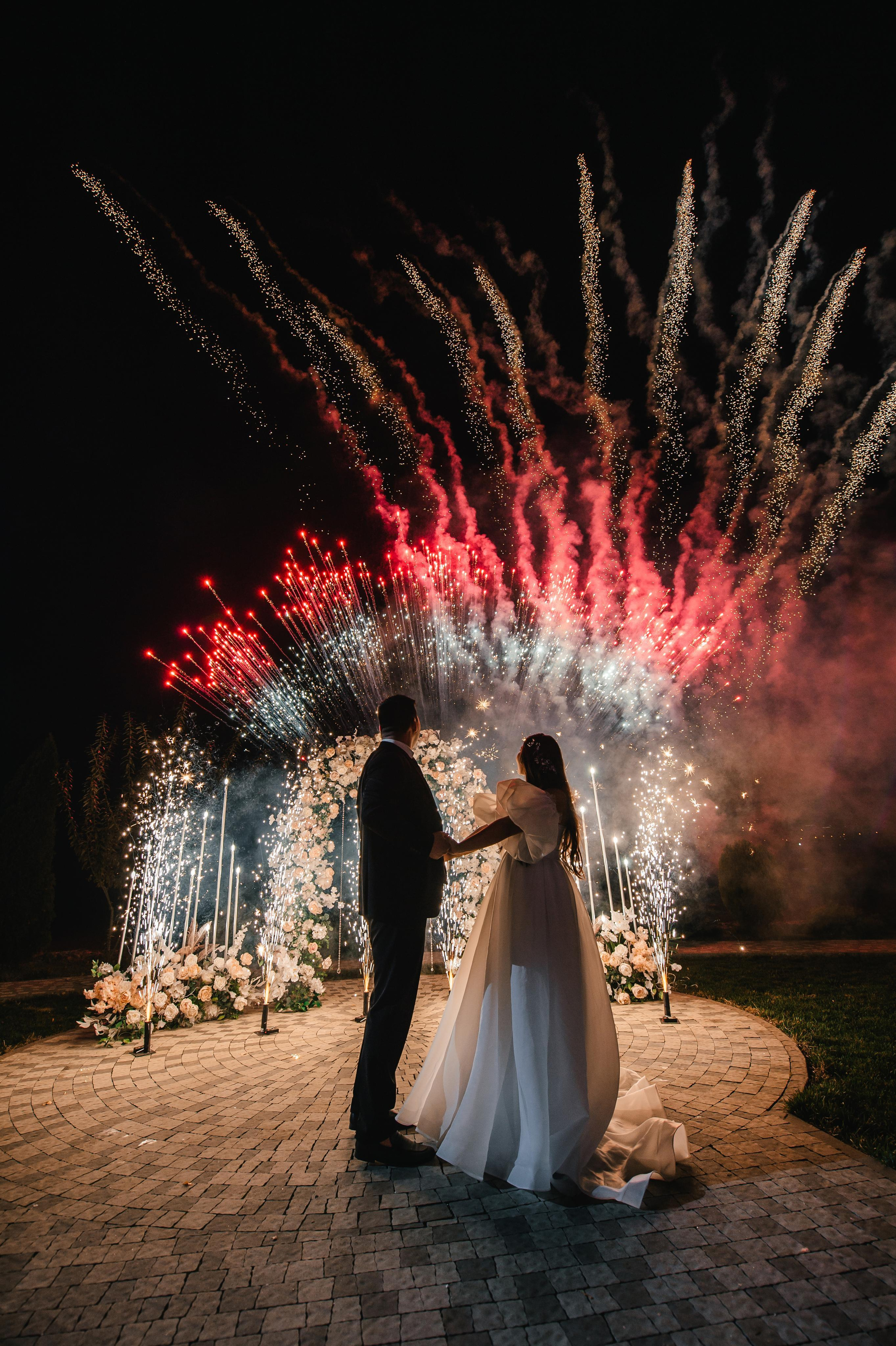 ТЁМА и АЛИНА. Свадебный организатор в Ростове-на-Дону Яснов Роман