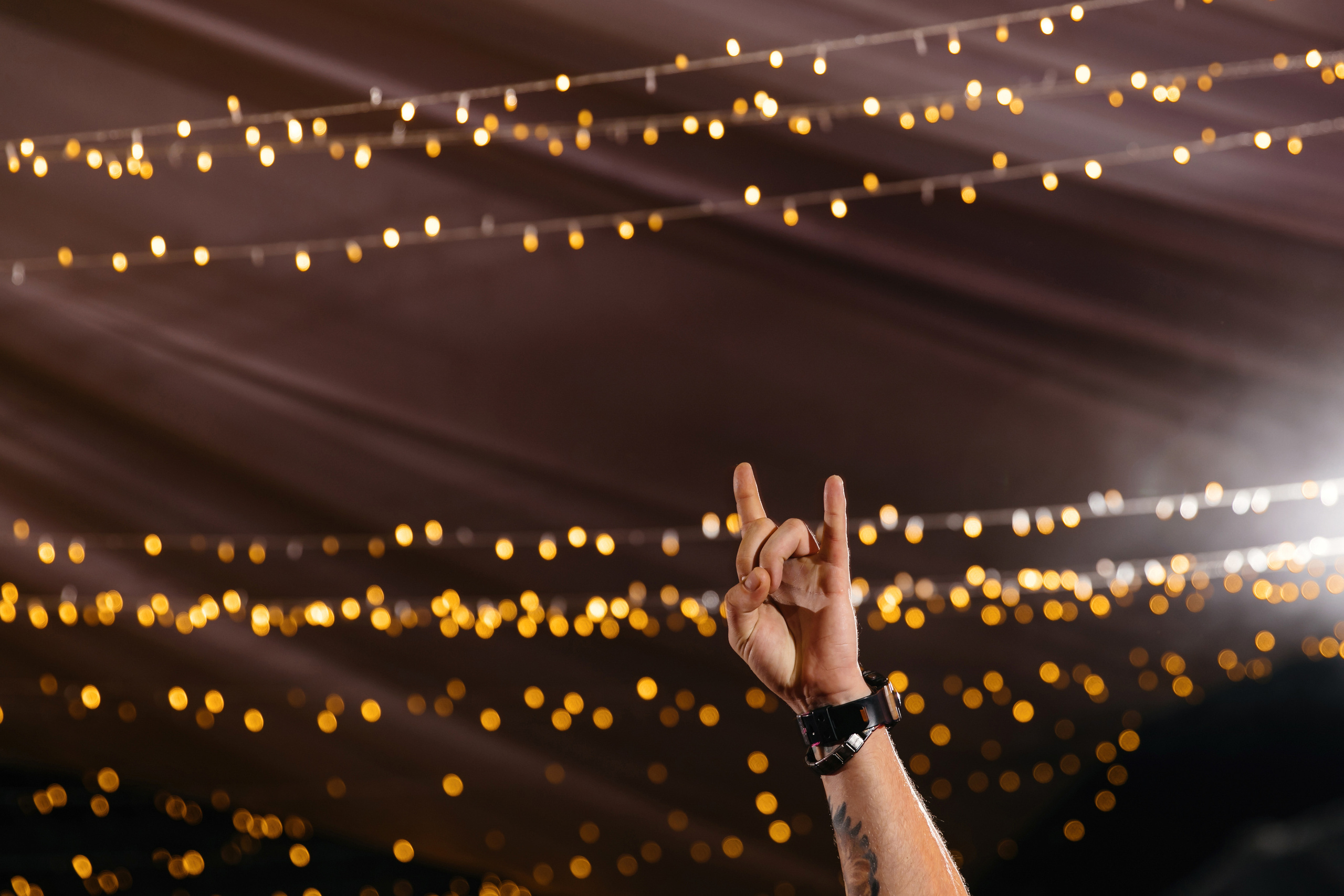 Владислав и Дарья. Свадебный организатор в Ростове-на-Дону Яснов Роман