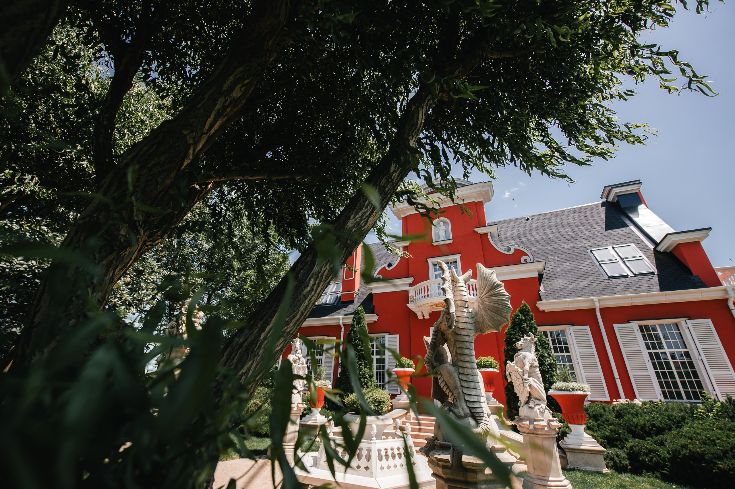 ТЁМА и АЛИНА. Свадебный организатор в Ростове-на-Дону Яснов Роман