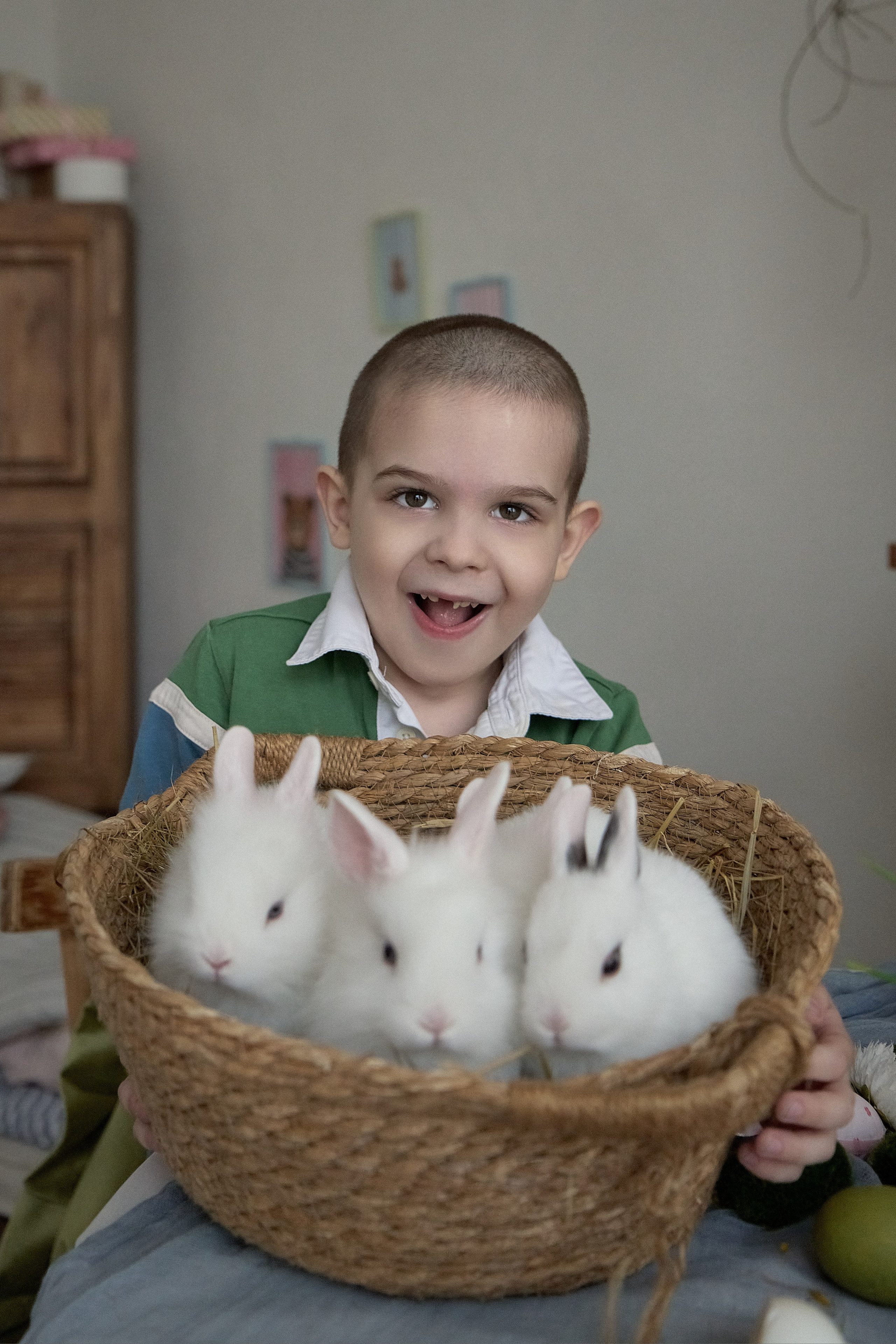 Пасхальная фотосессия с животными в&nbsp;студии г.Краснодар