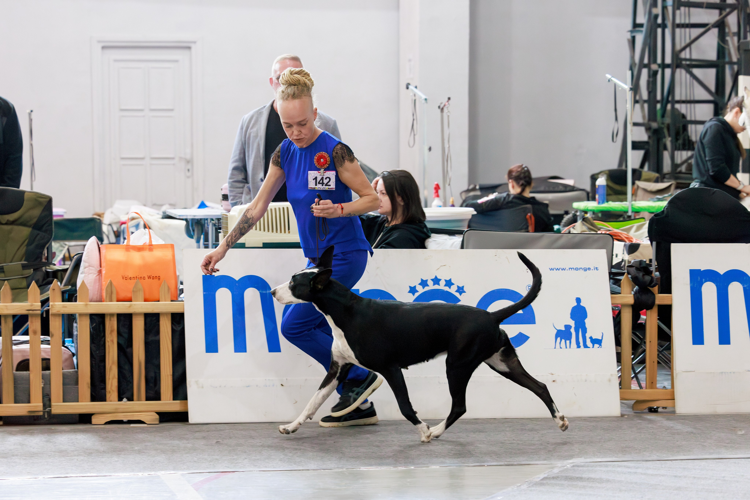 Ереван 2х CACIB 29-30.04.2025. Фотограф-анималист Юлия Германика