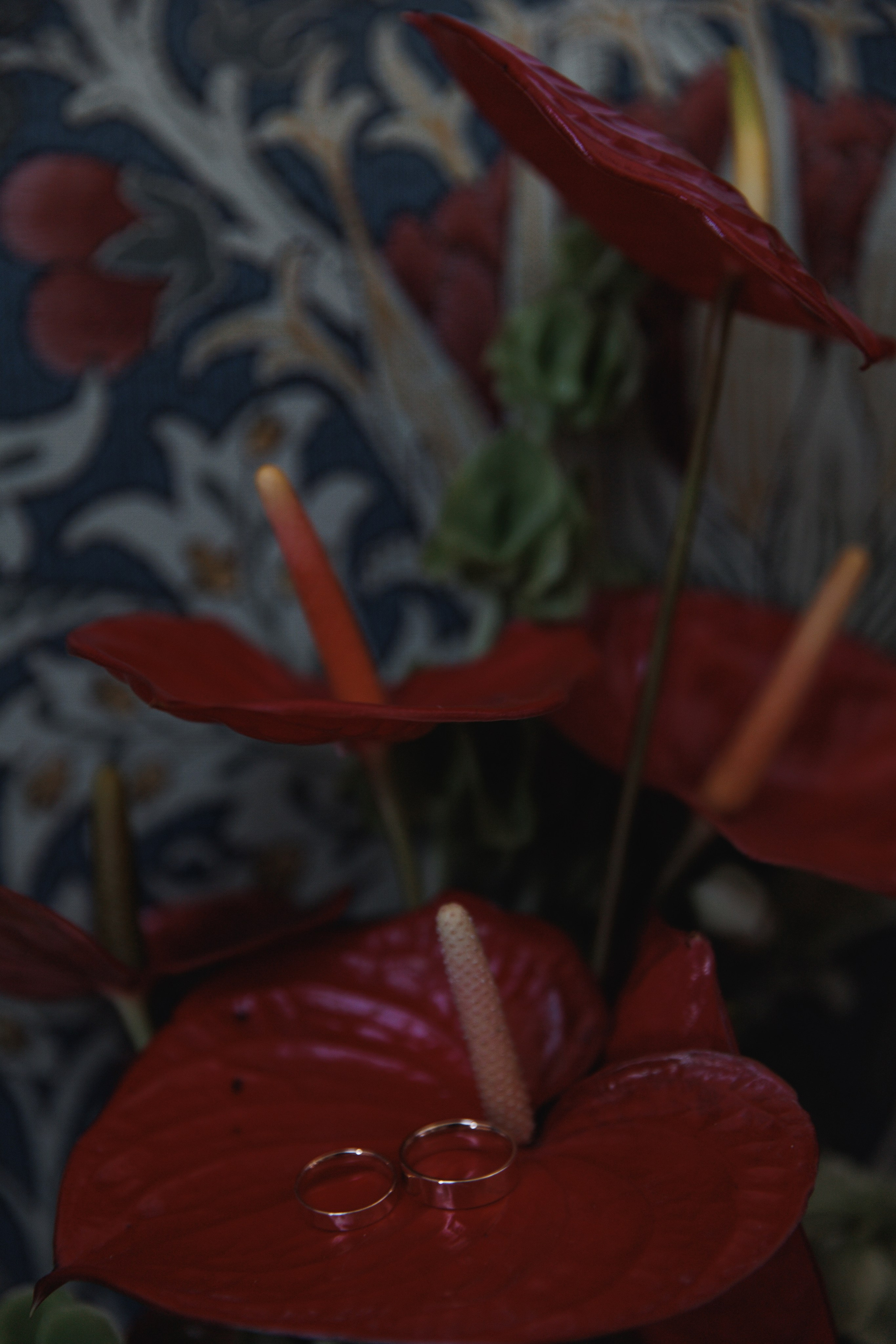 Дмитрий и Юлия. Wedding photographer in St. Petersburg, Europe and Israel Anna Agafon